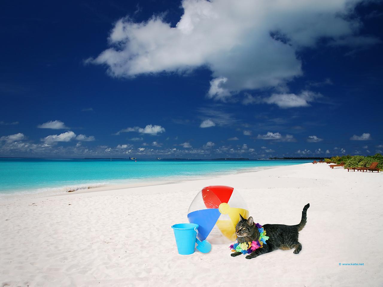 1280x960 Summer Wallpaper for Your Desktop by