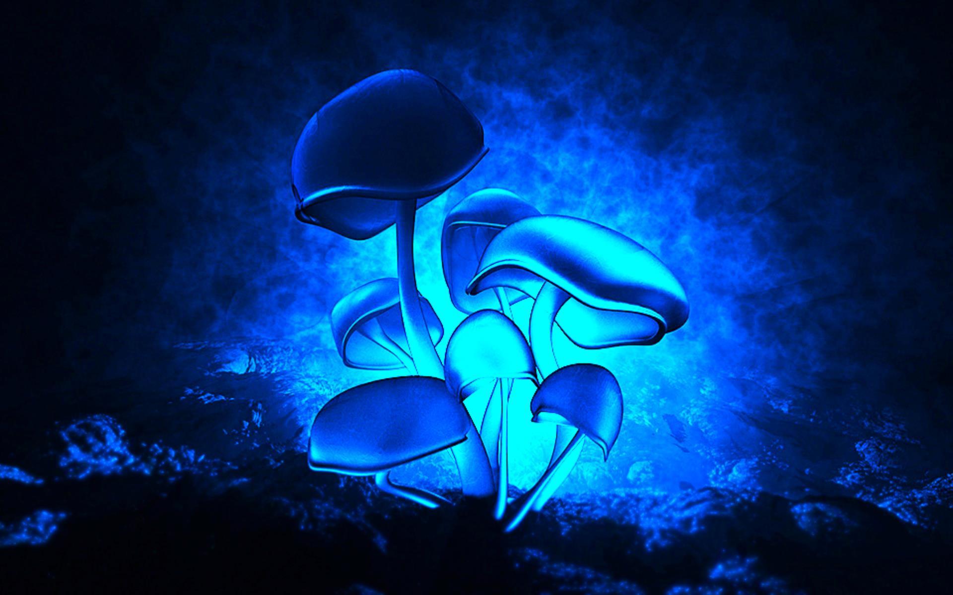 Blue Mushroom Wallpapers - Top Free Blue Mushroom Backgrounds