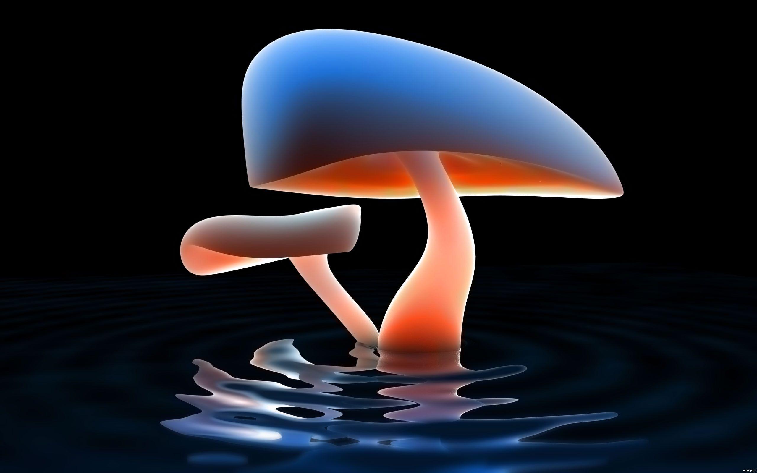 2560x1600 Blue Mushroom Desktop Wallpaper