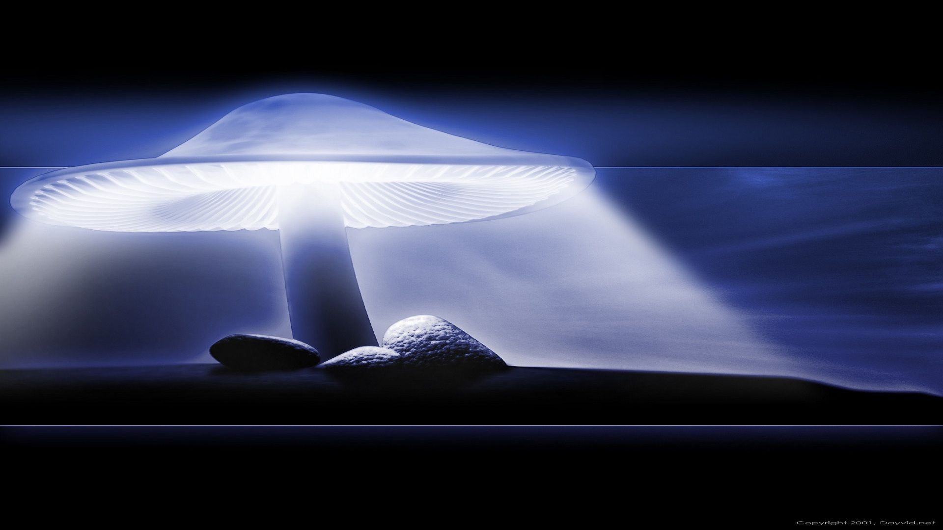 Blue Mushroom Wallpapers - Top Free Blue Mushroom Backgrounds