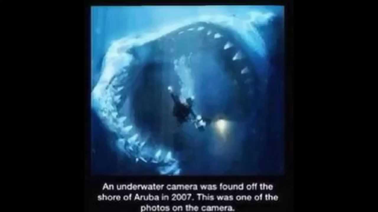 1280x720 Scary Image That Will Keep You Out Of The Ocean!
