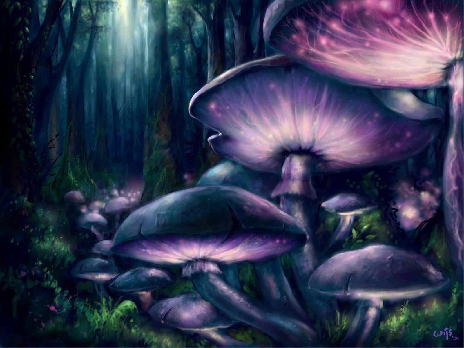 1600x1200 Purple and Blue Mushrooms in Fantasy Forest Wallpaper and Background Imagex1200