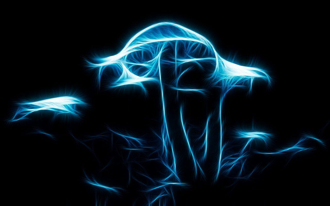 1280x800 Blue Mushroom Desktop Wallpaper