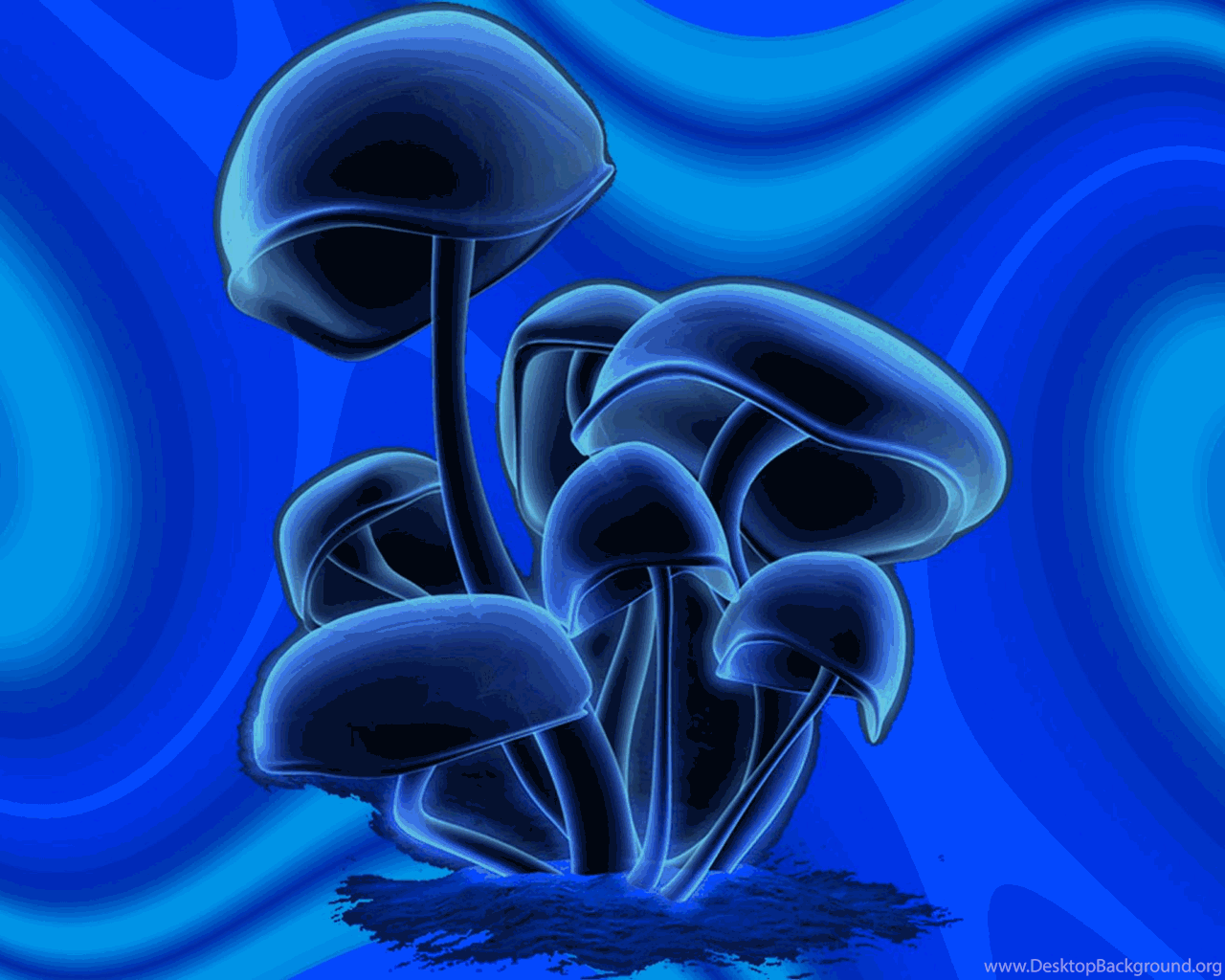 Blue Mushroom Wallpapers - Top Free Blue Mushroom Backgrounds
