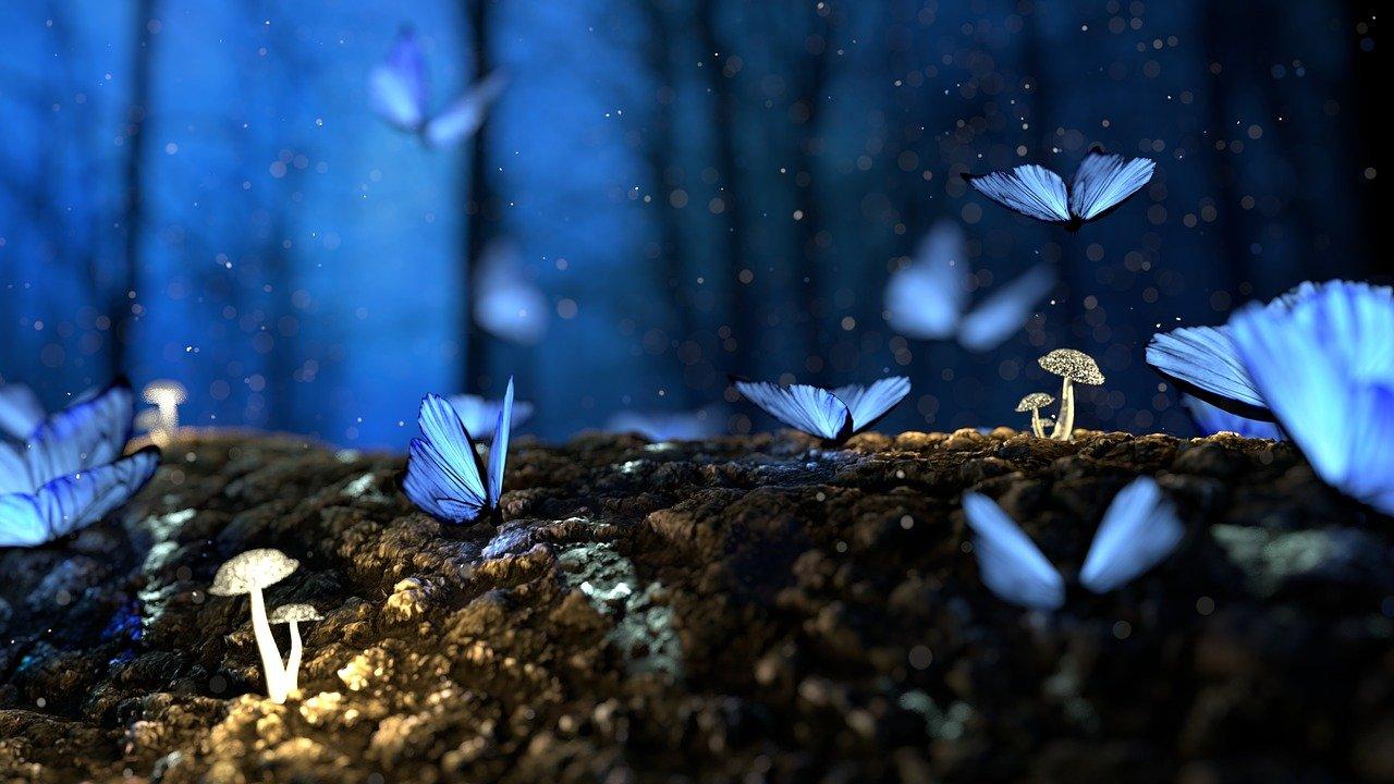 1280x720 Fantasy Butterflies Mushrooms