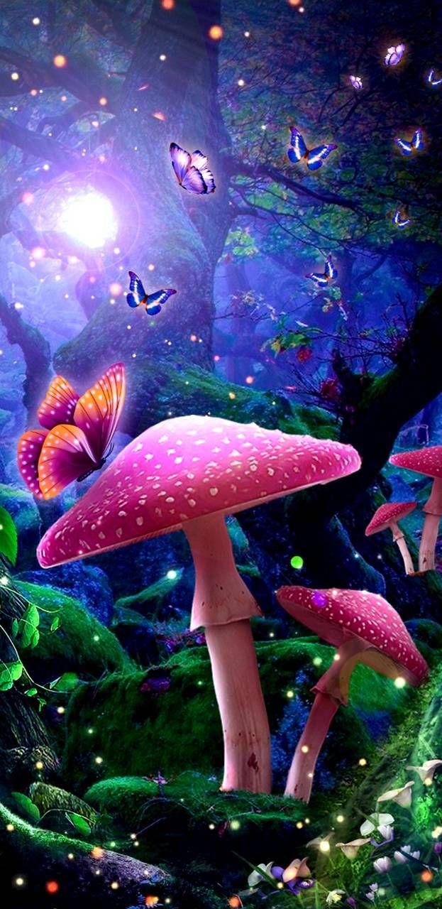 623x1280 Download Fantasy fairytale wallpaper by NikkiFrohloff now. Browse millions of. Fairy wallpaper, Mushroom wallpaper, Forest wallpaper iphone