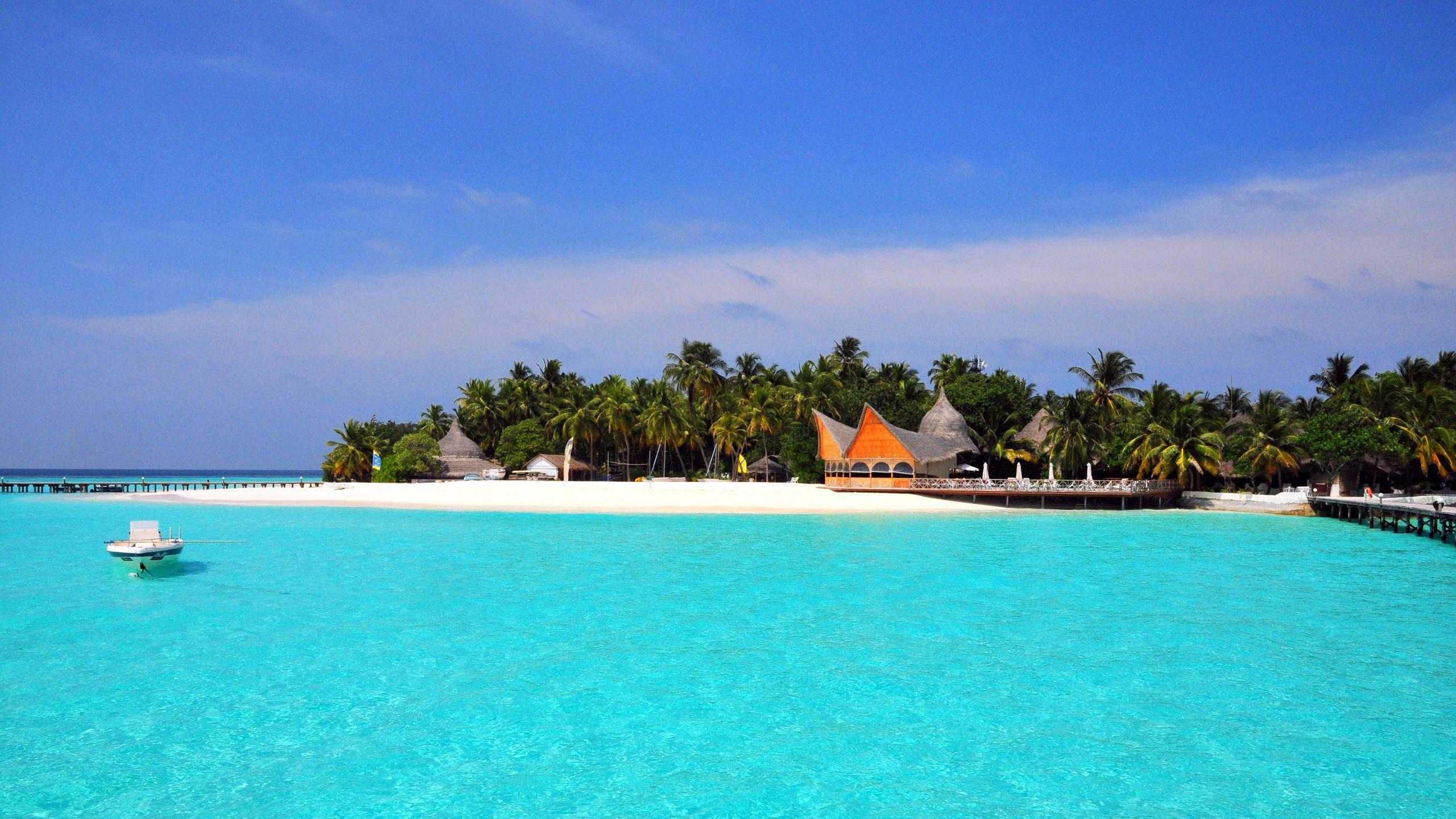 2560x1440 Download wallpaper 2560x1440 maldives, tropical, beach, island widescreen 16:9 HD background