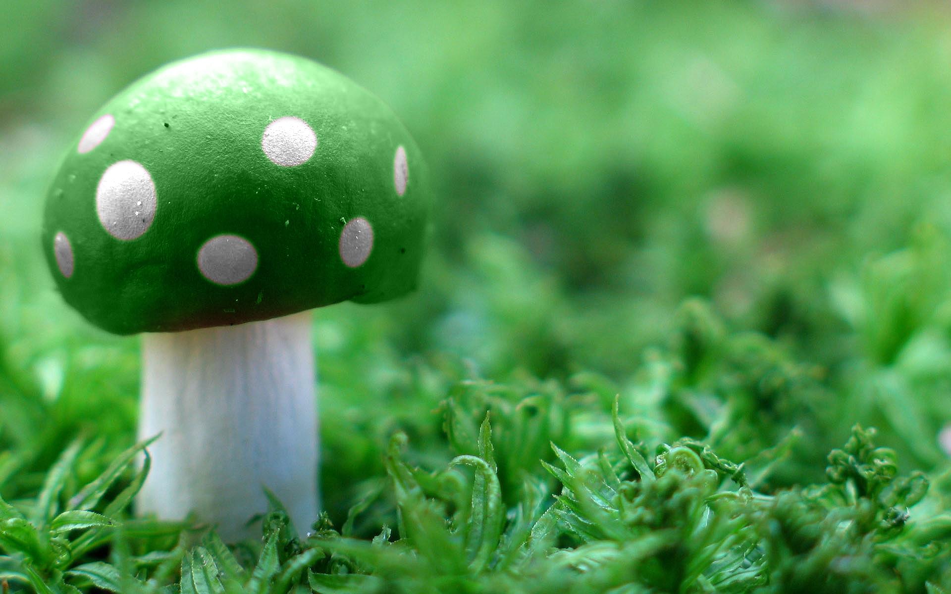 1920x1200 Neon Mushroom Wallpaper