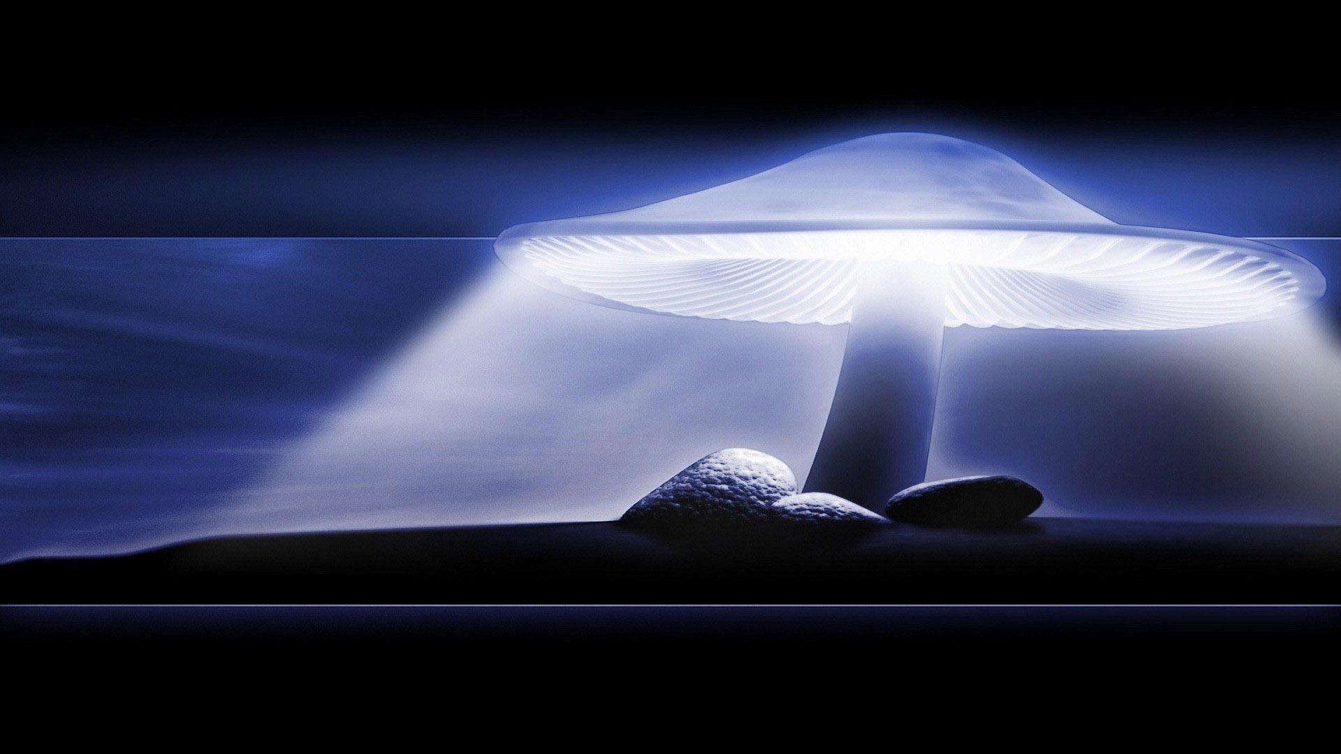 1920x1080 Blue Mushroom Desktop Wallpaper
