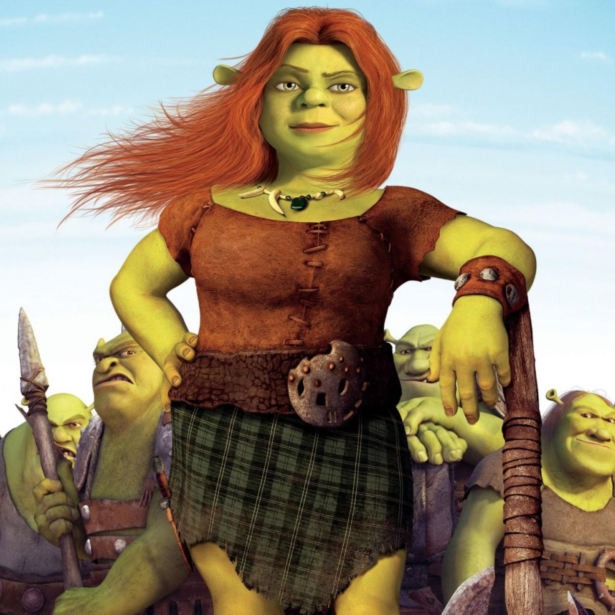 2048x2048 Wallpaper shrek forever after, fiona, cartoon
