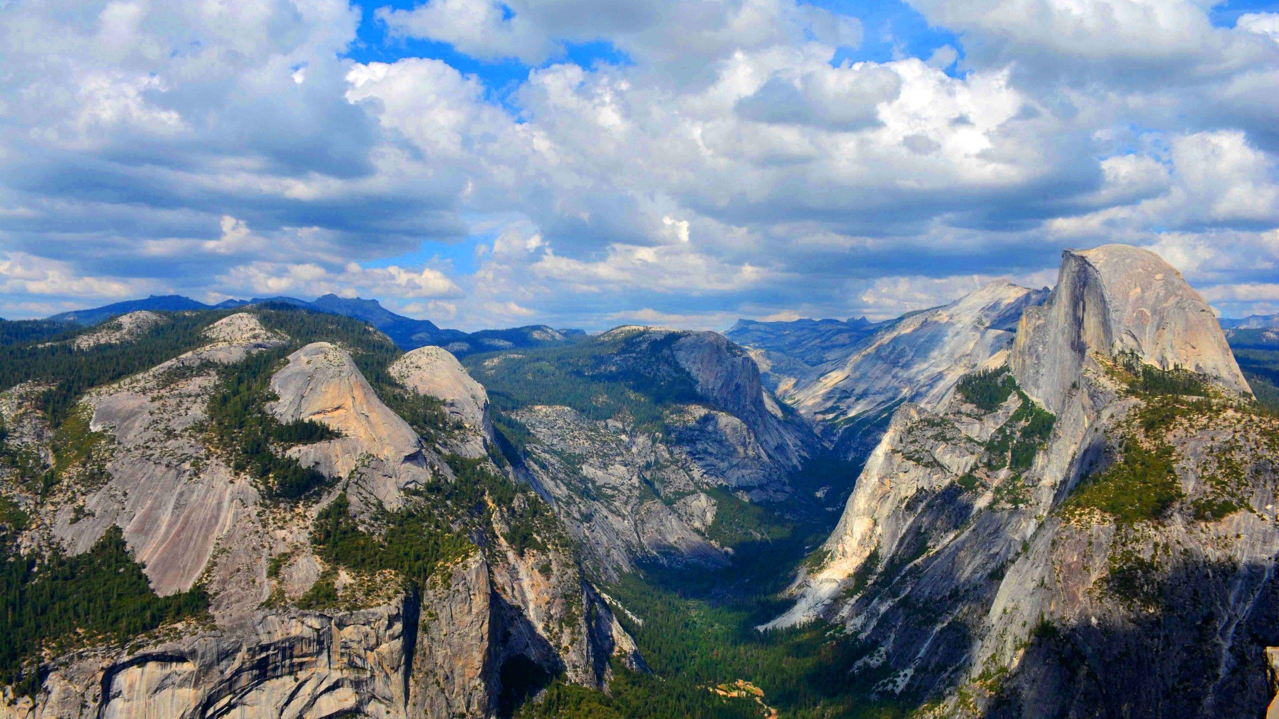 2560x1440 Wallpaper Yosemite, 5k, 4k wallpaper, 8k, forest, OSX, apple
