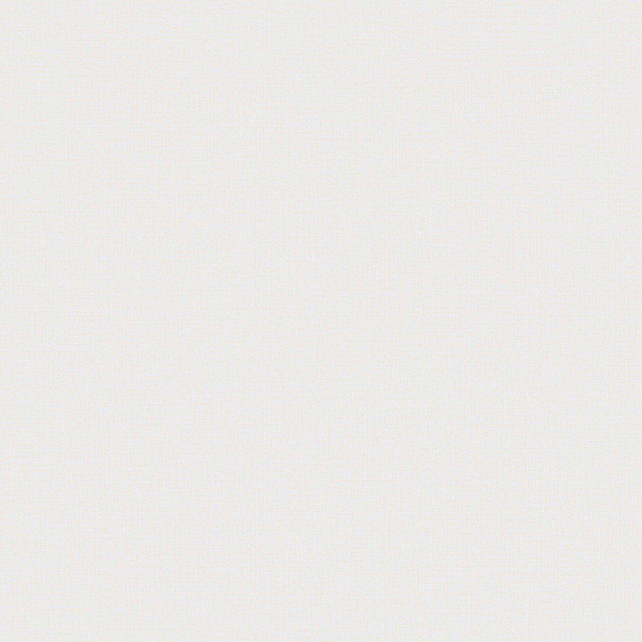 1280x1280 Nordic Elegance Pale Grey Paste the Wall Plain Wallpaper NG1001