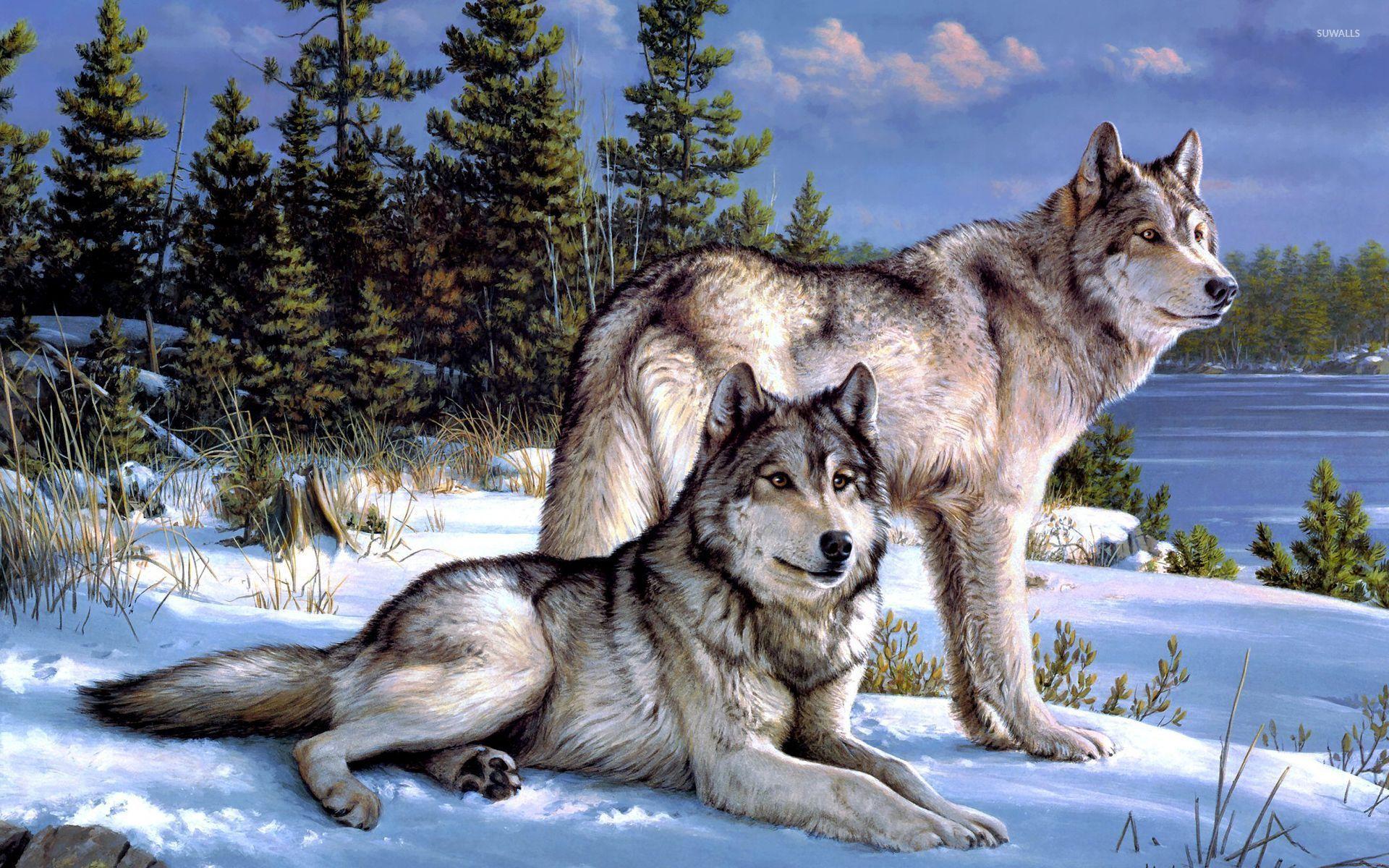 Wolf Digital Art Wallpapers - Top Free Wolf Digital Art Backgrounds ...