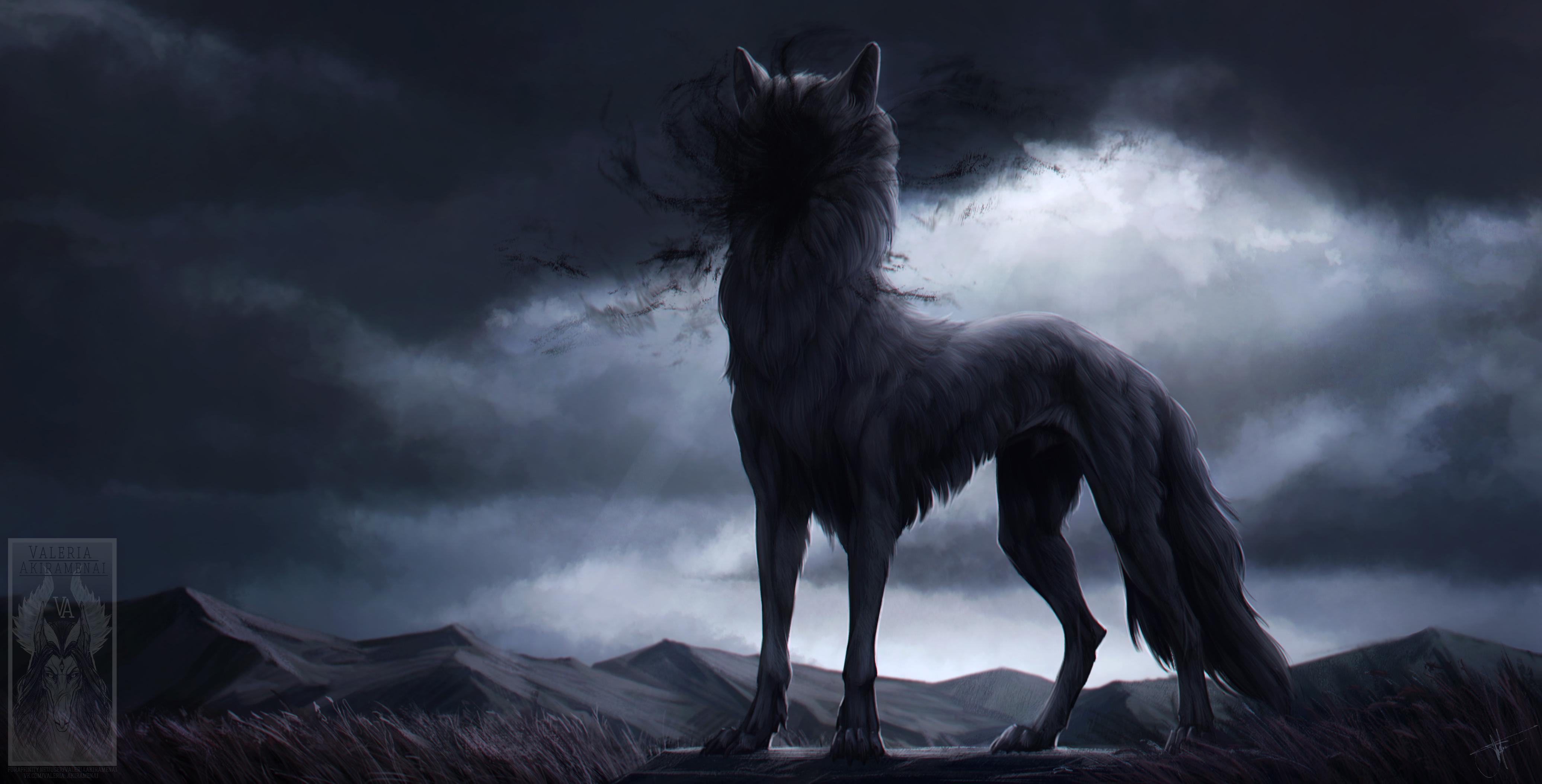 4144x2108 wolf, artist, artwork, digital art, hd, 4k