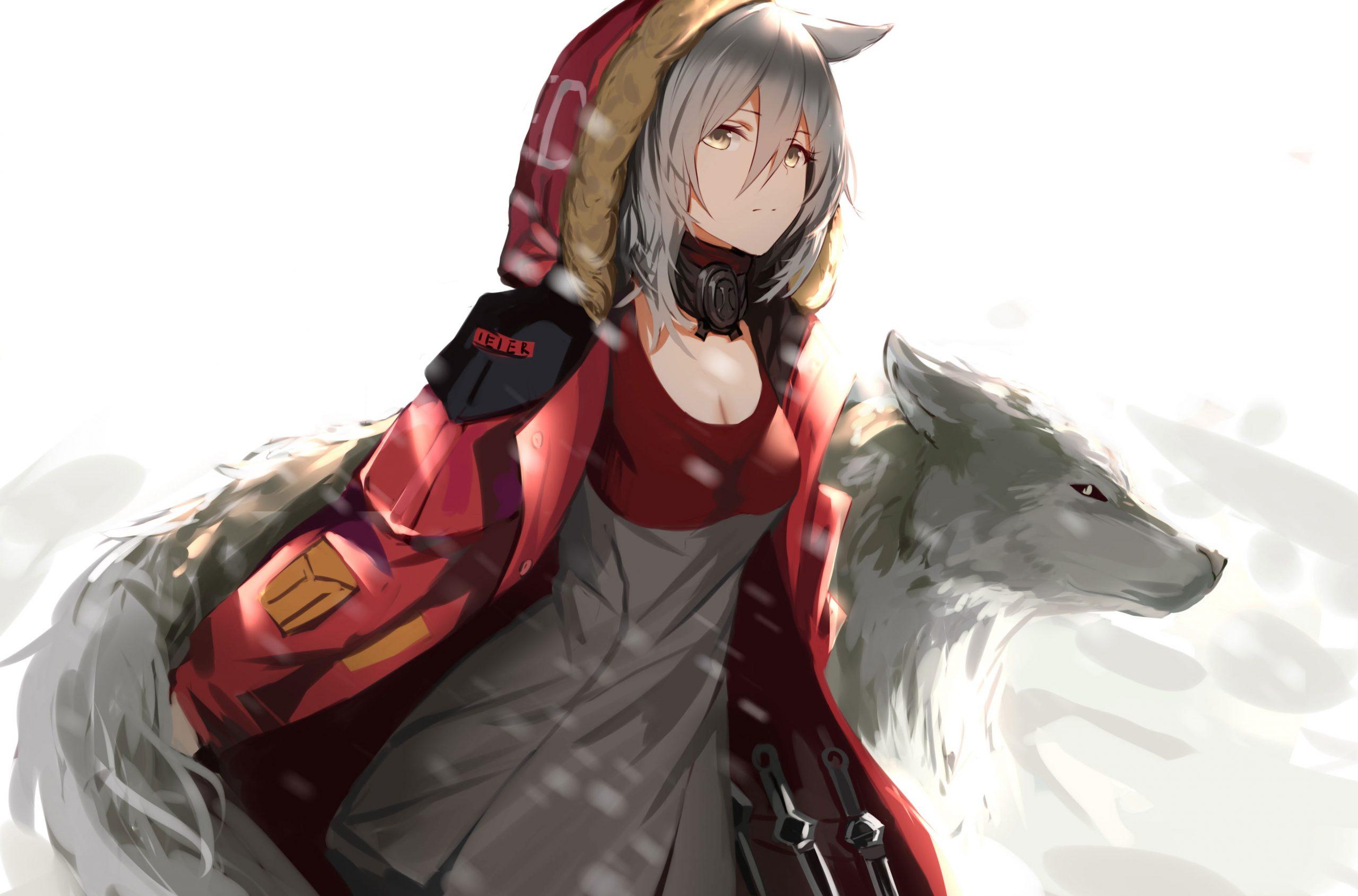 2560x1689 Anime girls wallpaper, wolf, digital art, Yasuri, artwork, Arknights • Wallpaper For You HD Wallpaper For Desktop & Mobile