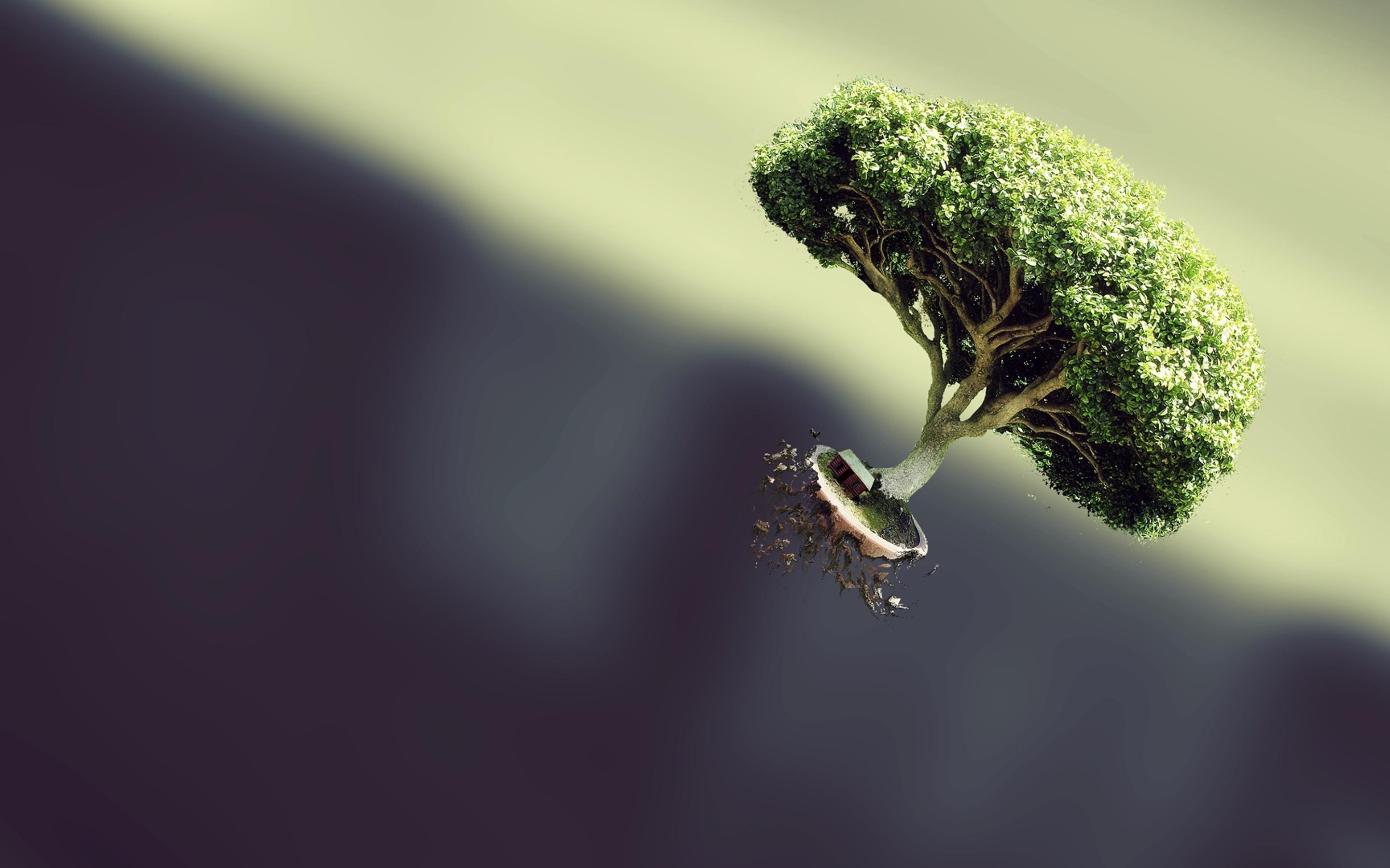 2880x1800 Abstract flying tree