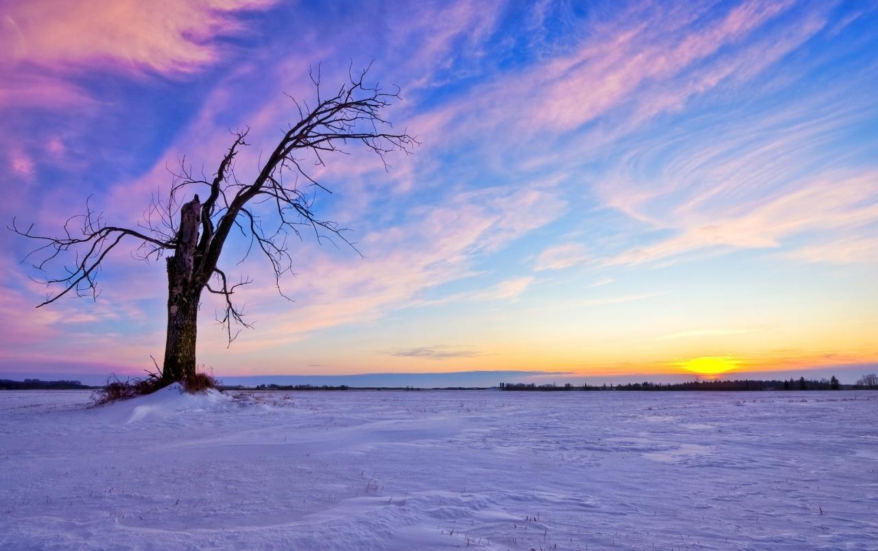 1280x804 Beautiful Winter Sunset wallpaper. Beautiful Winter Sunset