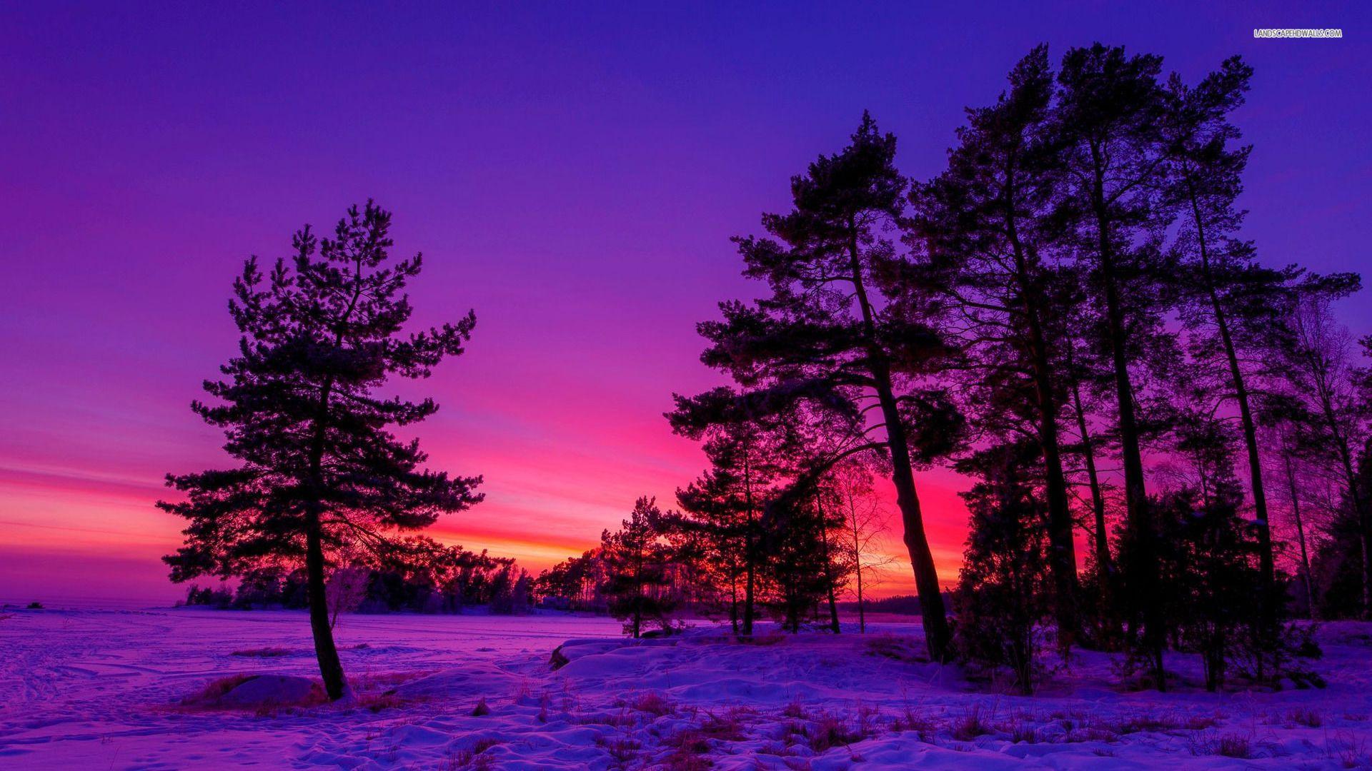 1920x1080 Free Winter Wallpaper And