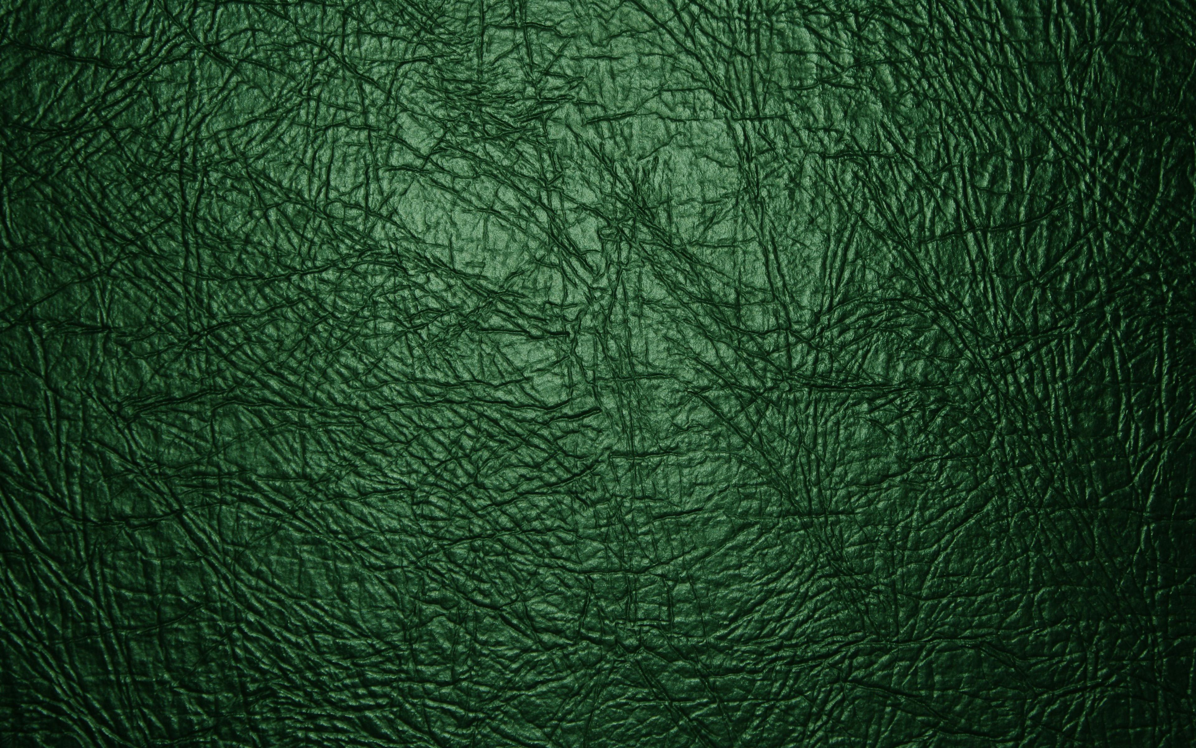_????. lv louis vu. Dark green aesthetic, Dark green , iPhone vintage, Green  Leather HD phone wallpaper