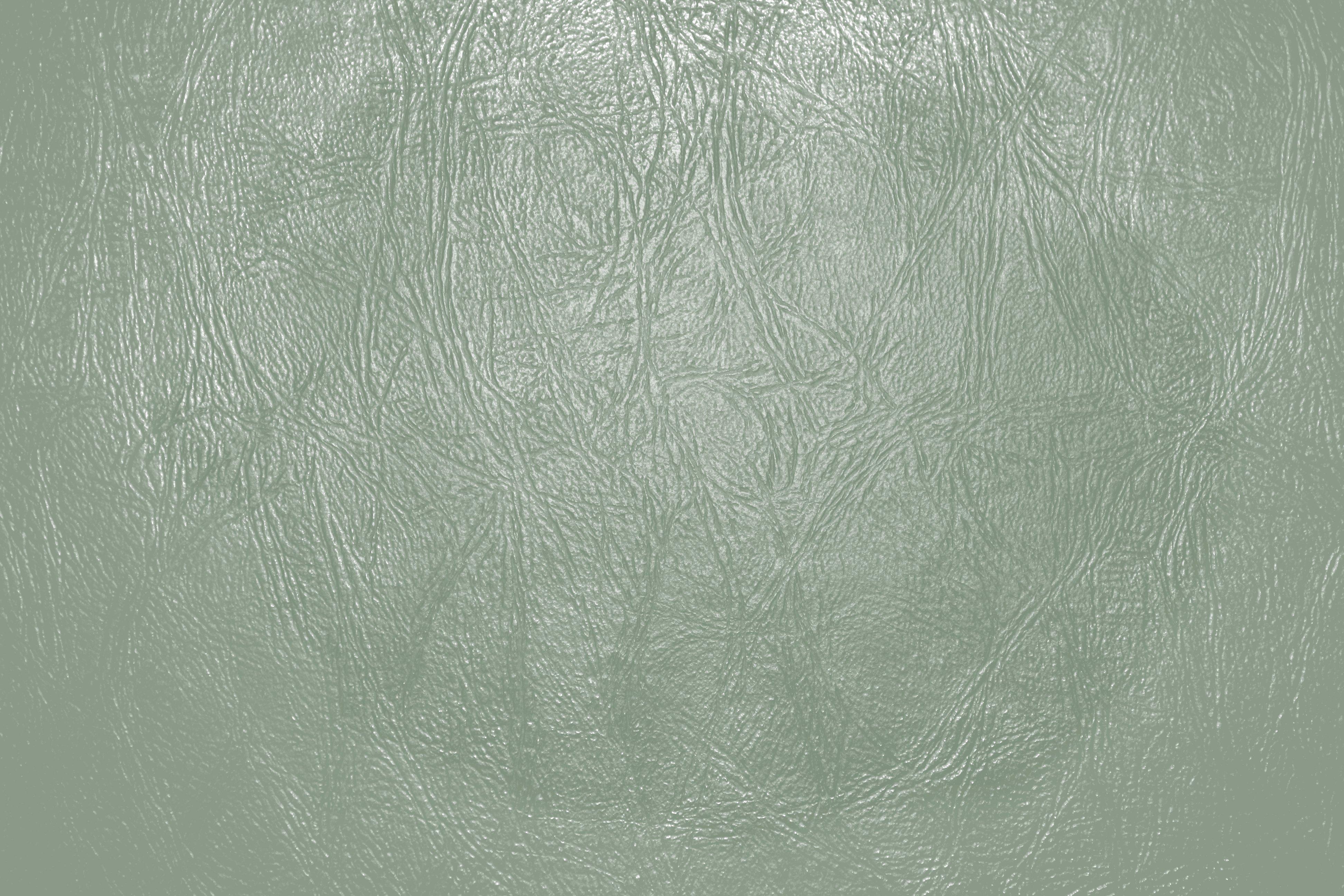 3888x2592 Free download Sage Green Leather Close Up Texture Picture Photograph Photo [3888x2592] for your Desktop, Mobile & Tablet. Explore Sage Green Wallpaper. Light Green Textured Wallpaper, Green Textured Wallpaper