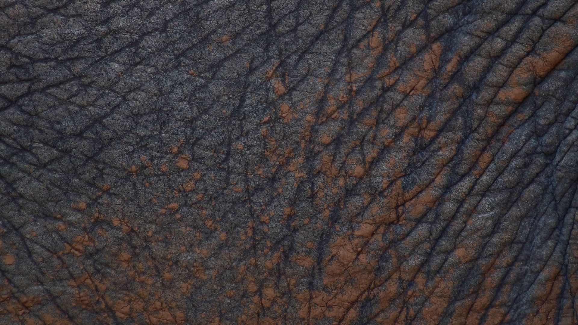 1920x1080 Download wallpaper 1920x1080 leather, texture, folds, gray full hd, hdtv, fhd, 1080p HD background