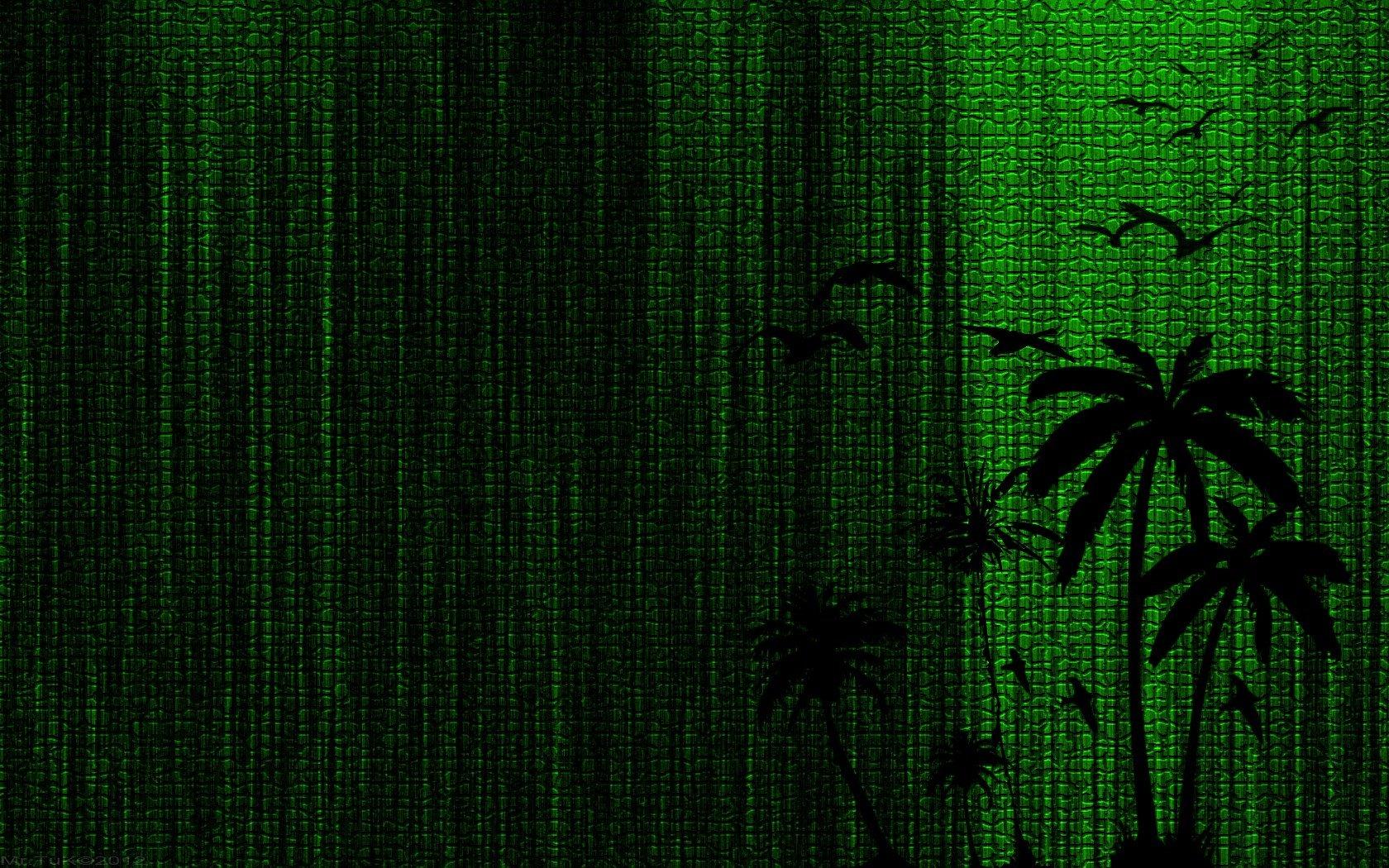 1680x1050 Green birds palm trees bay Mr_Tuk New Palm bay green green leather wallpaperx1050