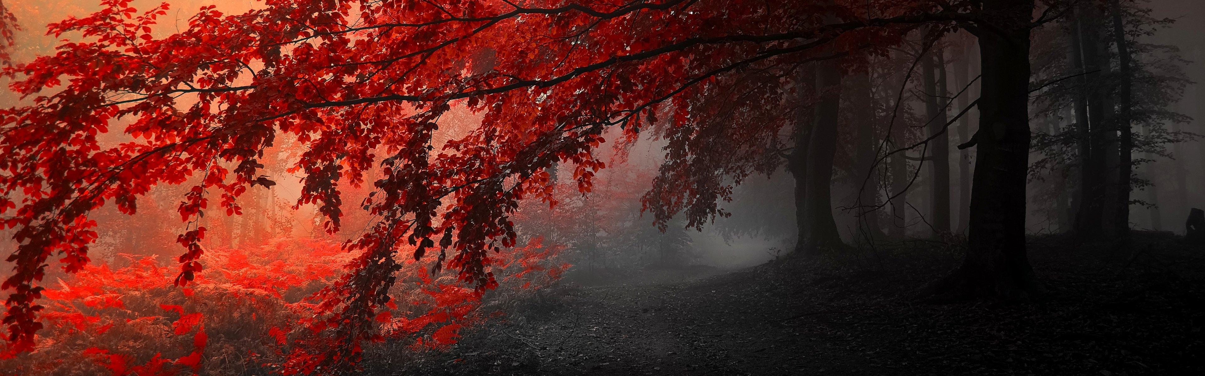 3840x1200 multi, Monitor, Dual, Screen, Widescreen Wallpaper HD / Desktop and Mobile Background