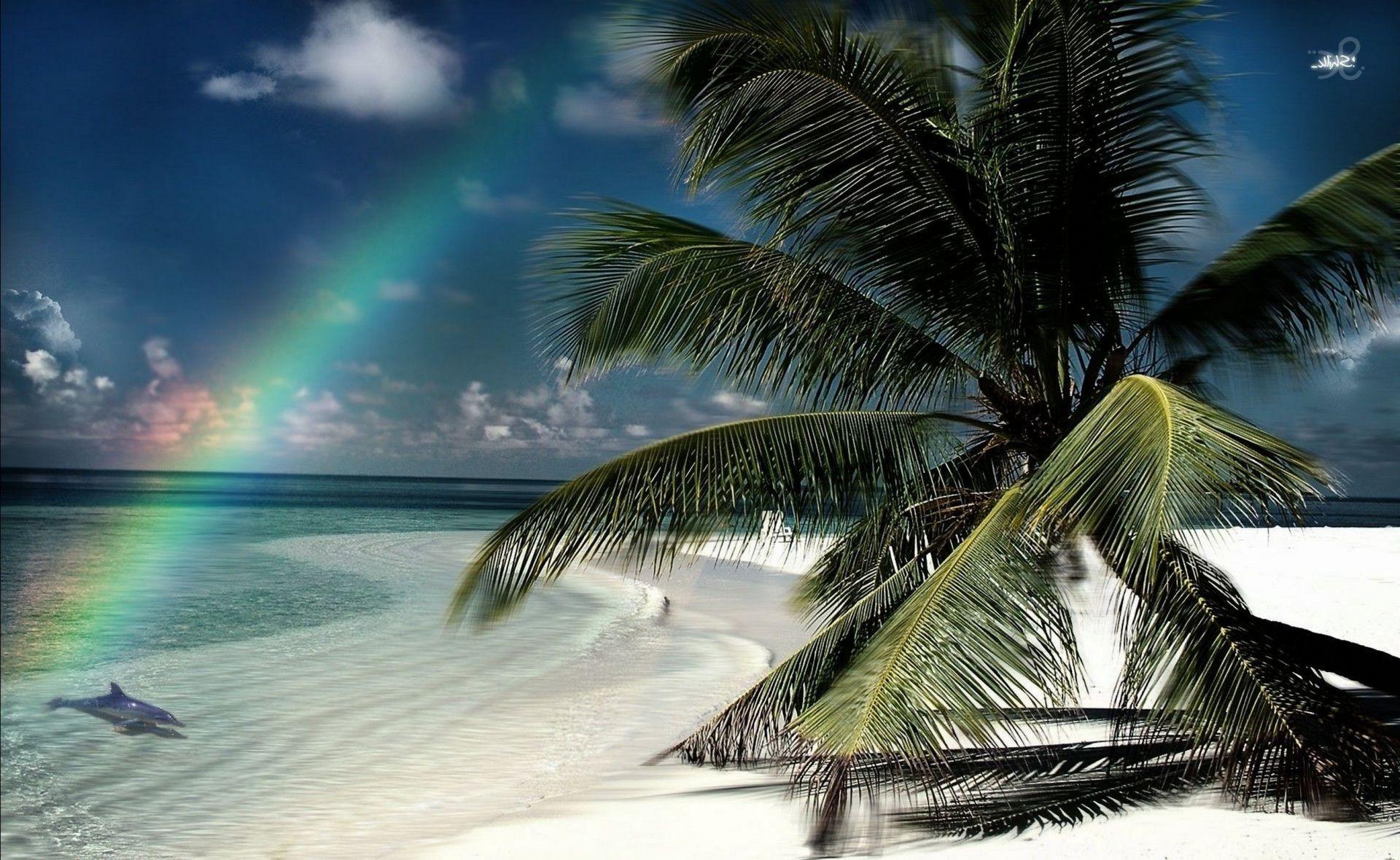 1920x1180 Rainbow tropical island beach palm trees wallpaper (phone background)