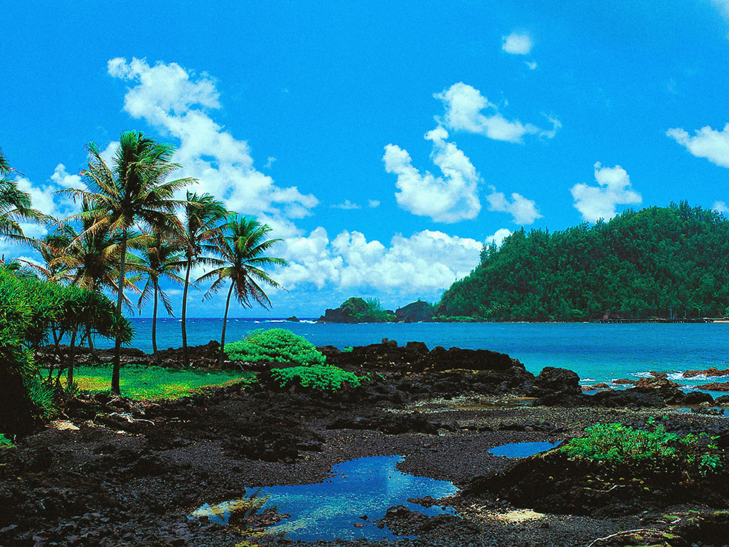2560x1920 Hawaii Wallpaper Desktop Bing Image Resolution Maui Background