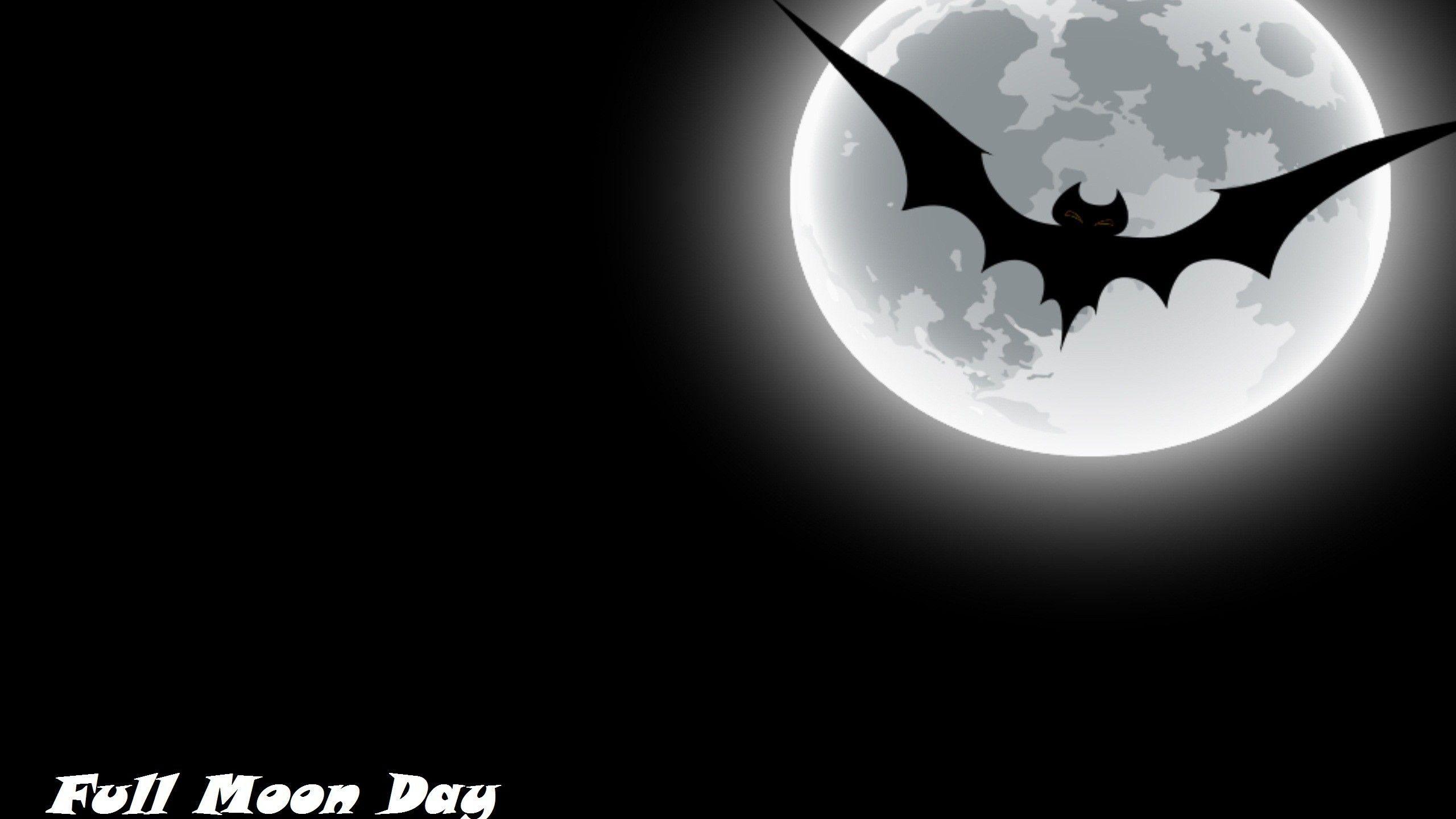 2560x1440 Bat Wallpaper, HD Bat Background