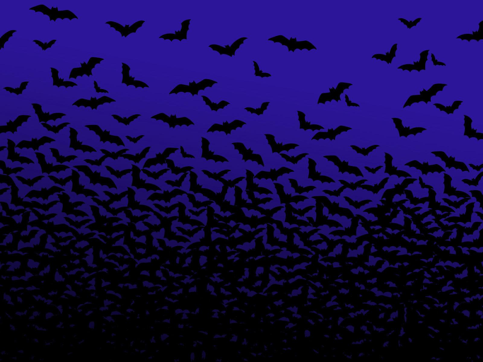 1600x1200 Bat wallpaper HD for desktop background