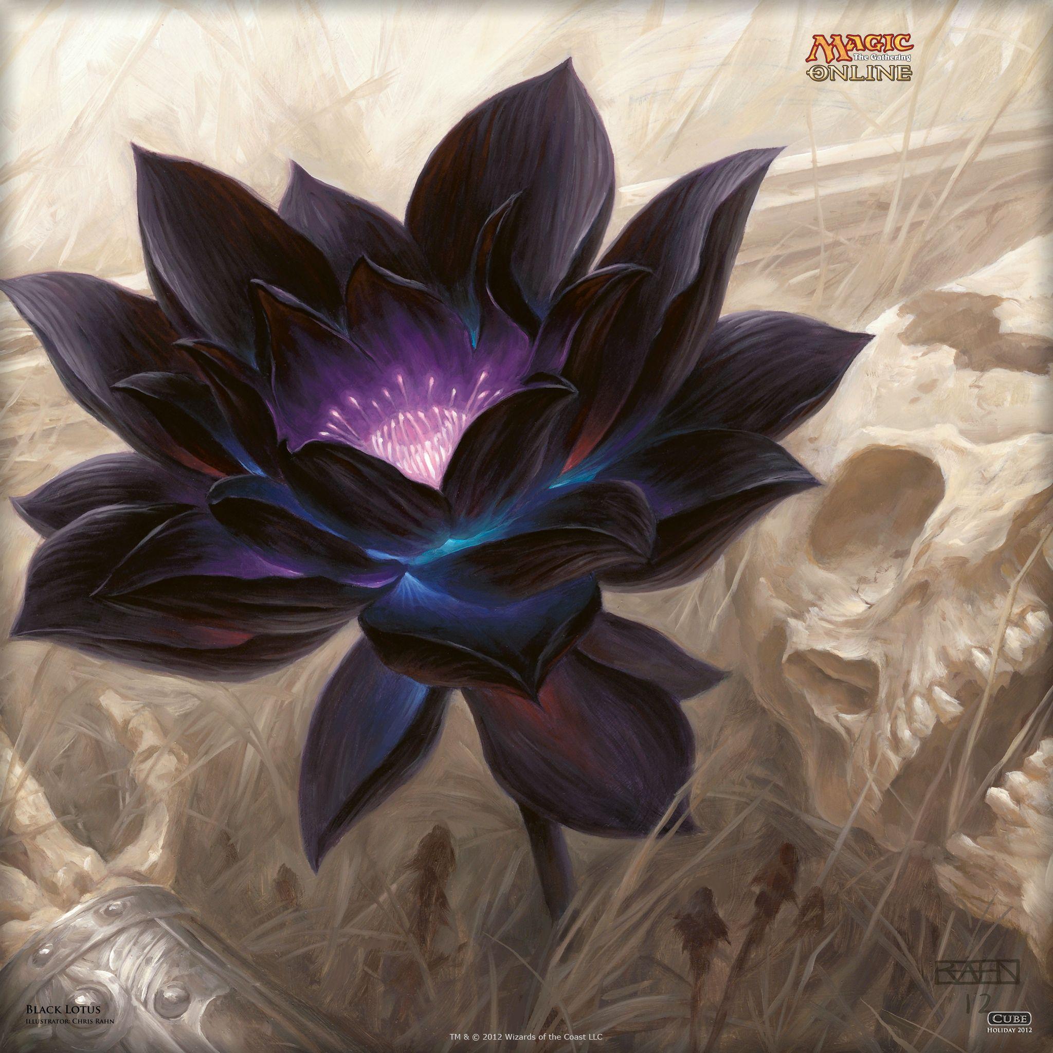 2048x2048 Magic: The Gathering's Black Lotus sells for $100 at auction