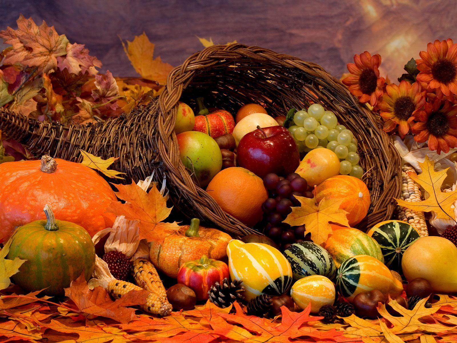 1600x1200 Fall Harvest Wallpaper