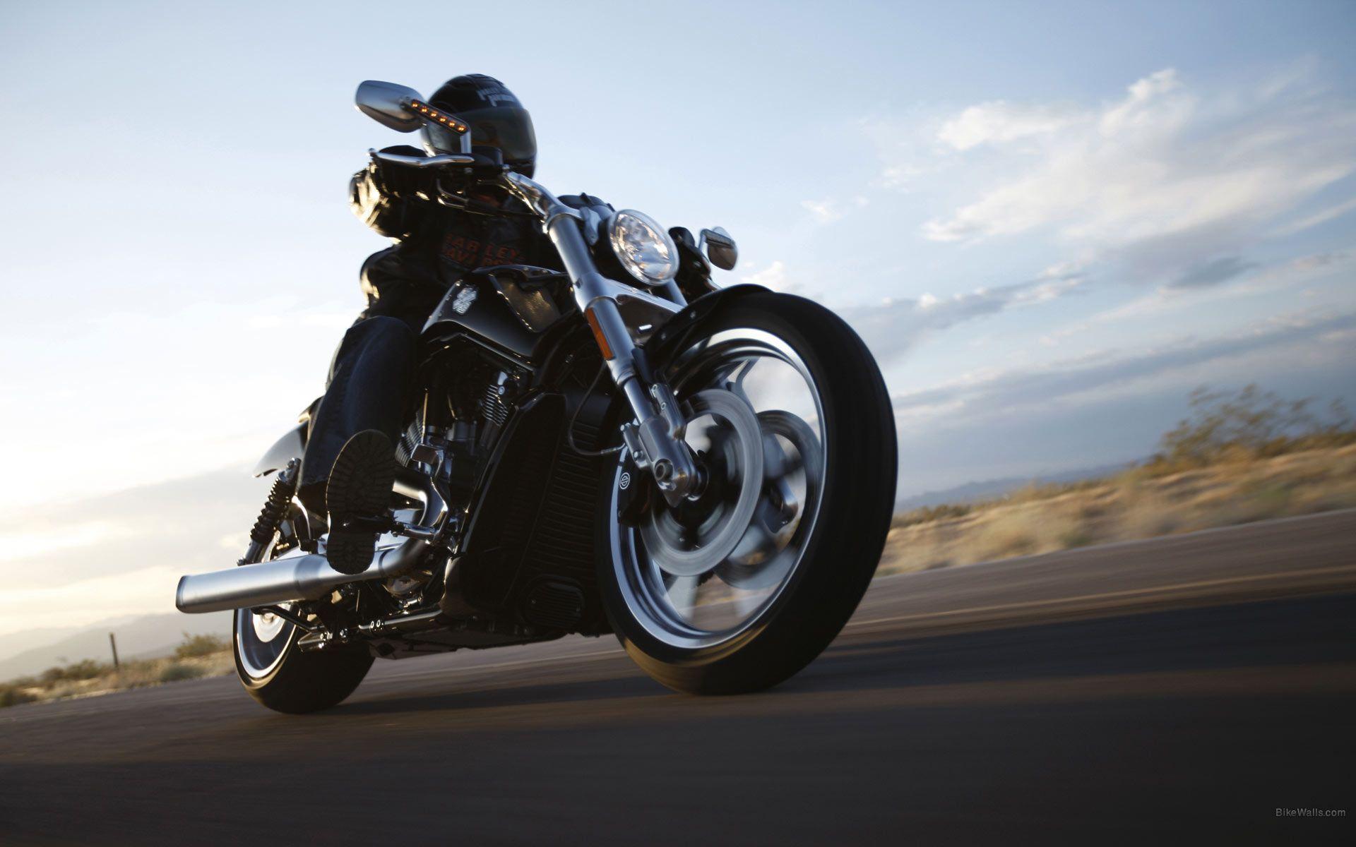 1920x1200 Harley Davidson V Rod Muscle Wallpaper