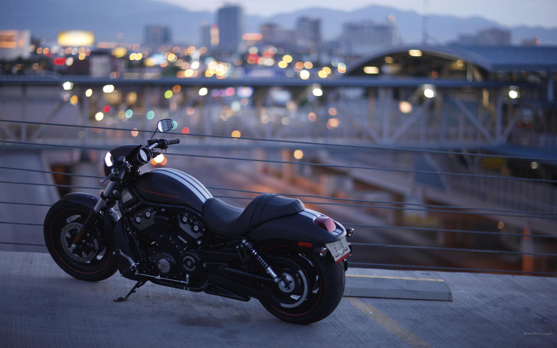1920x1200 harley davidson v rod HD wallpaper, background