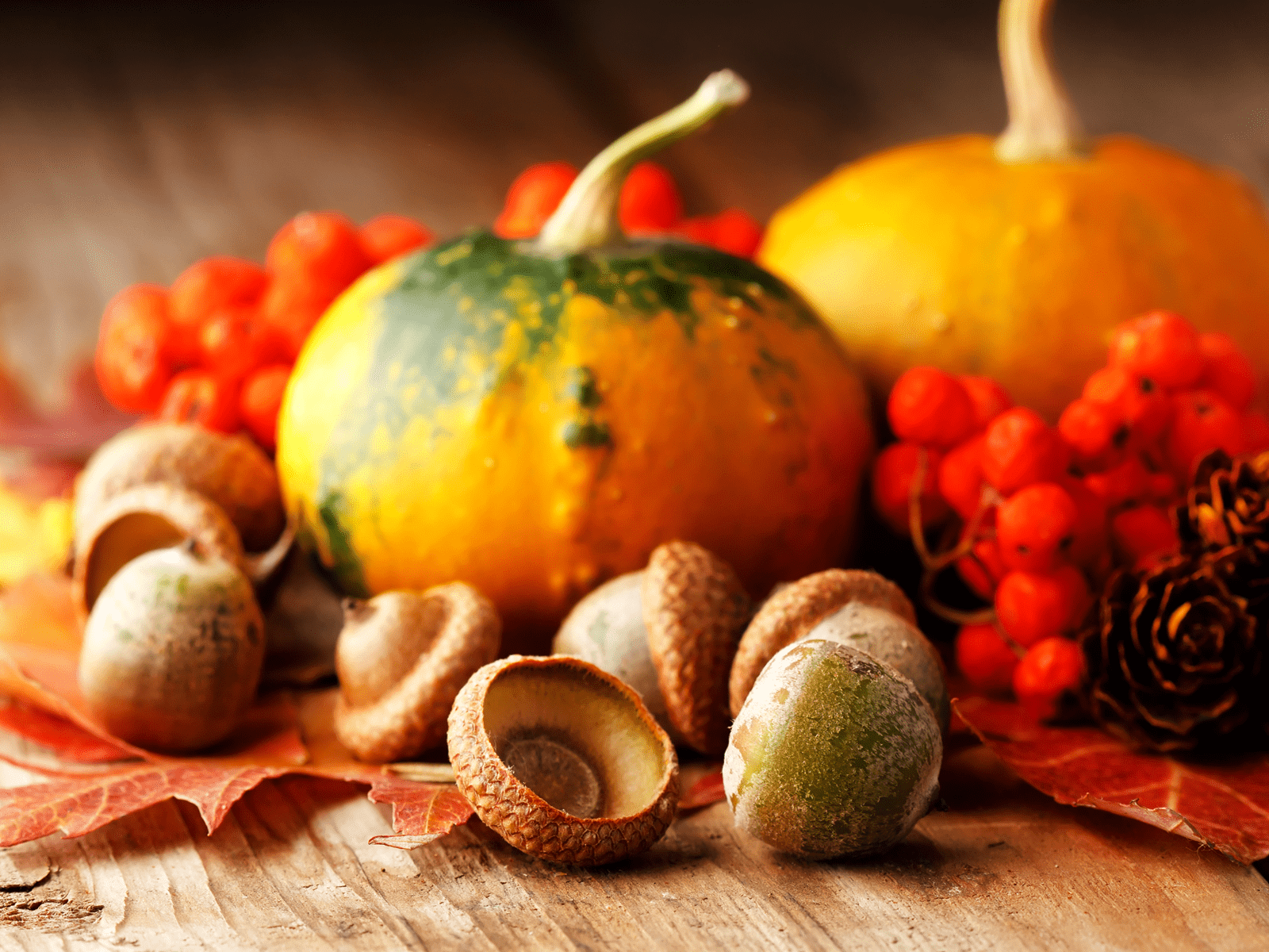 1600x1200 Thanksgiving Live Wallpaper
