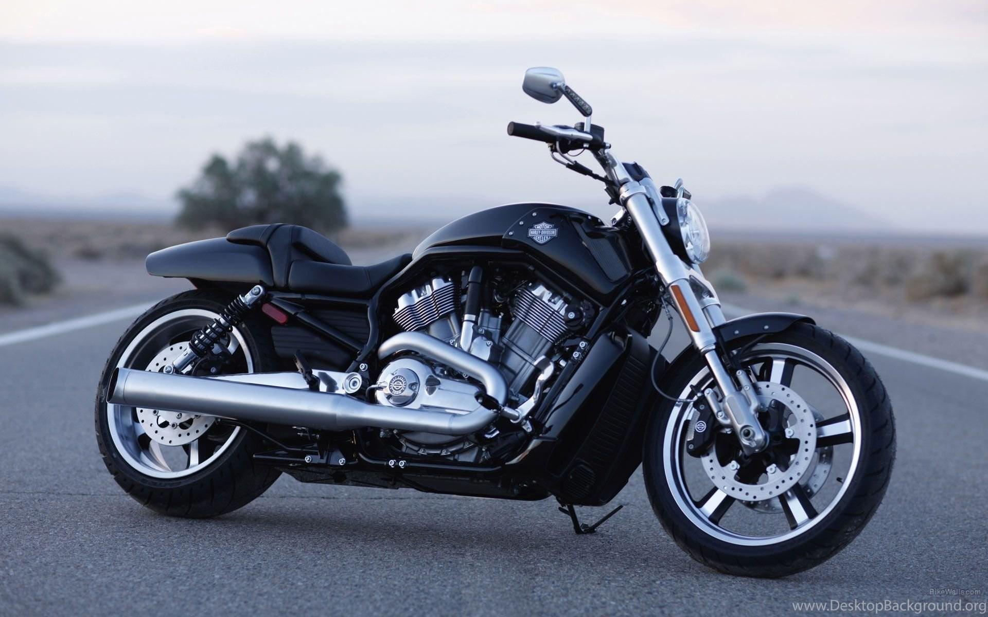 1920x1200 Harley Davidson V Rod Muscle Wallpaper Desktop Background