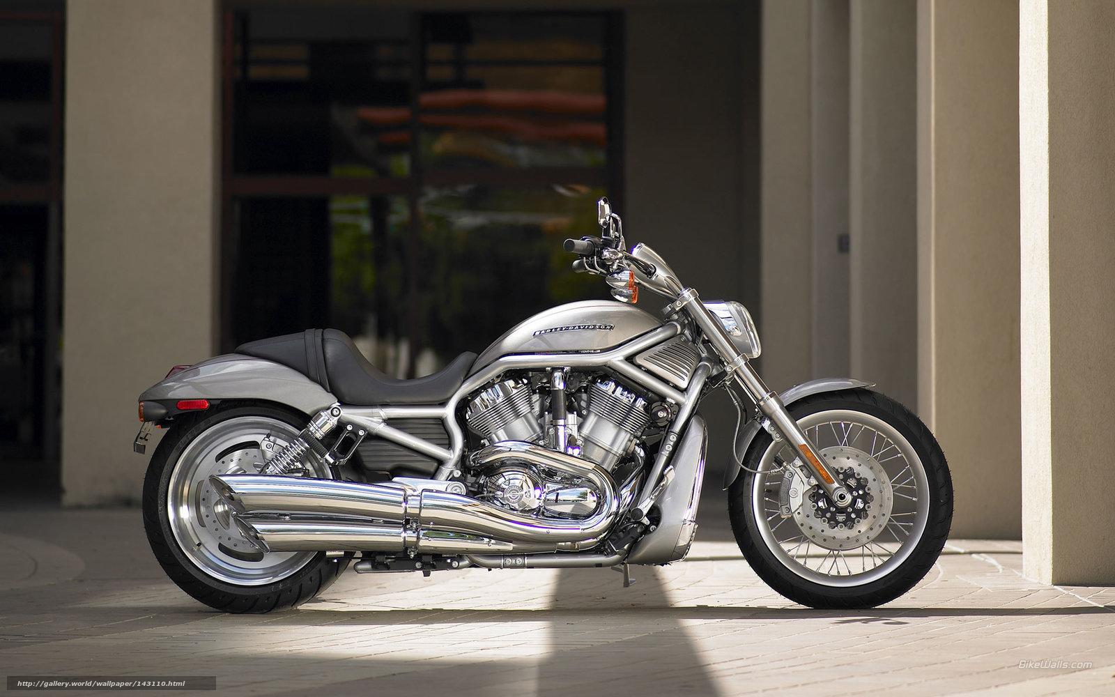 1600x1000 harley davidson v rod HD wallpaper, background