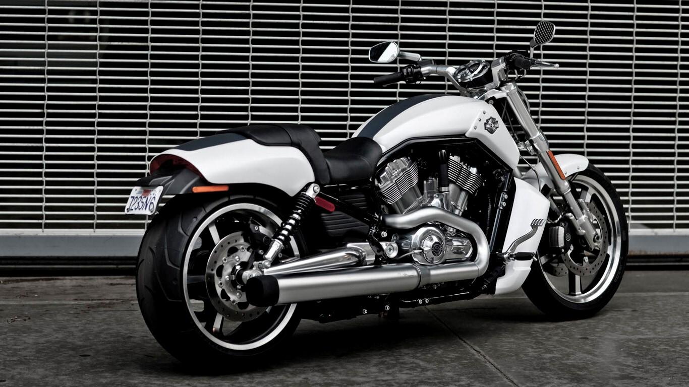 1366x768 Harley Davidson V Rod Muscle White Motorcycle