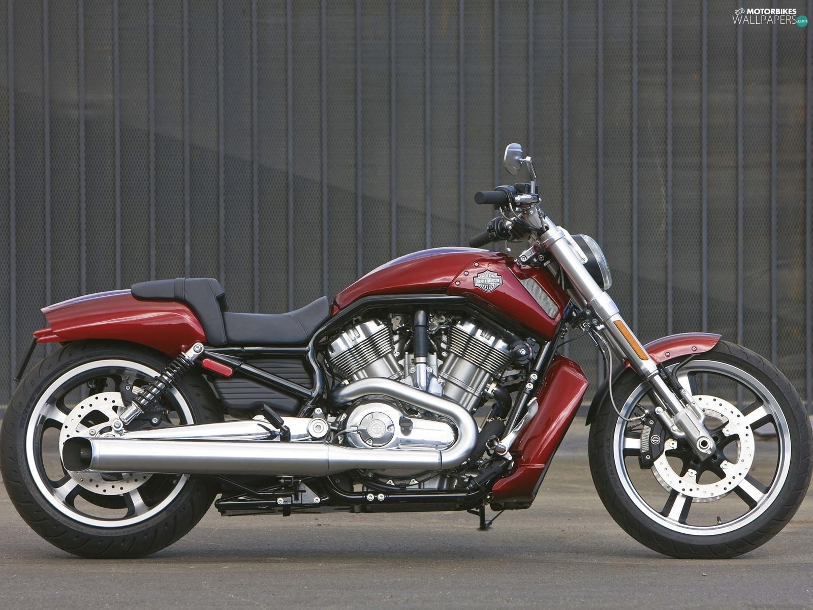 1600x1200 Harley Davidson V Rod Muscle, Right, Side Wallpaper: 1600x1200