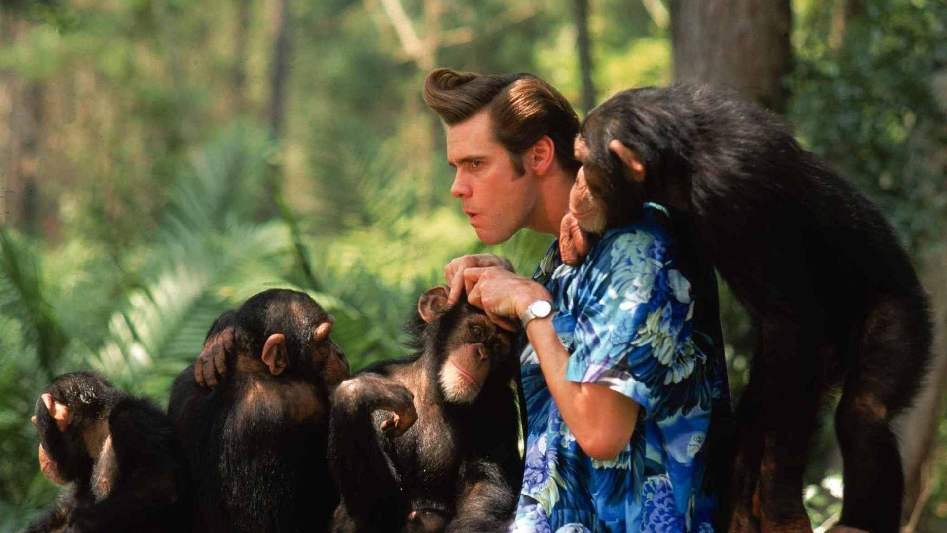 1920x1080 High Resolution Wallpaper ace ventura when nature calls. Ace ventura, Jim carrey, Cinema idea