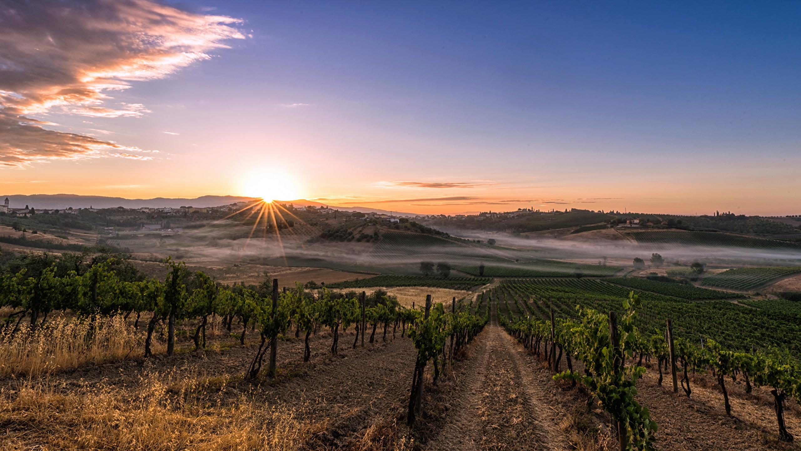 2560x1440 Desktop Wallpaper Nature Tuscany Italy Bush Fields 2560x1440