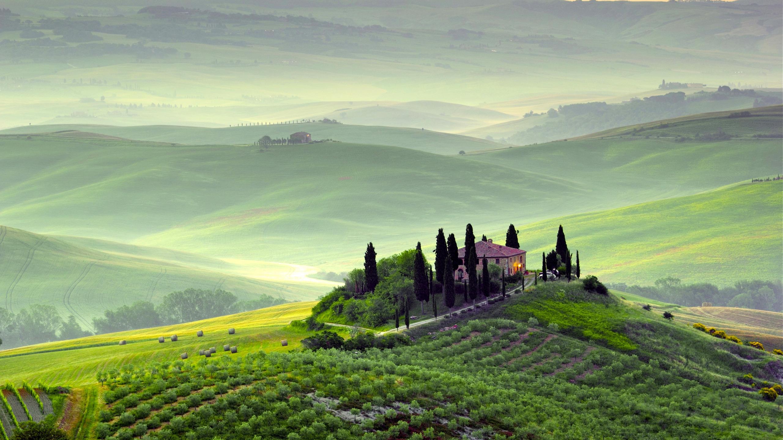 2560x1440 Download wallpaper greens, trees, landscape, nature, fog, dawn, hills, field, morning, Italy, Italy, Tuscany, Toscana, Pienza, Pienza, Tuscany, section landscapes in resolution 2560x1440