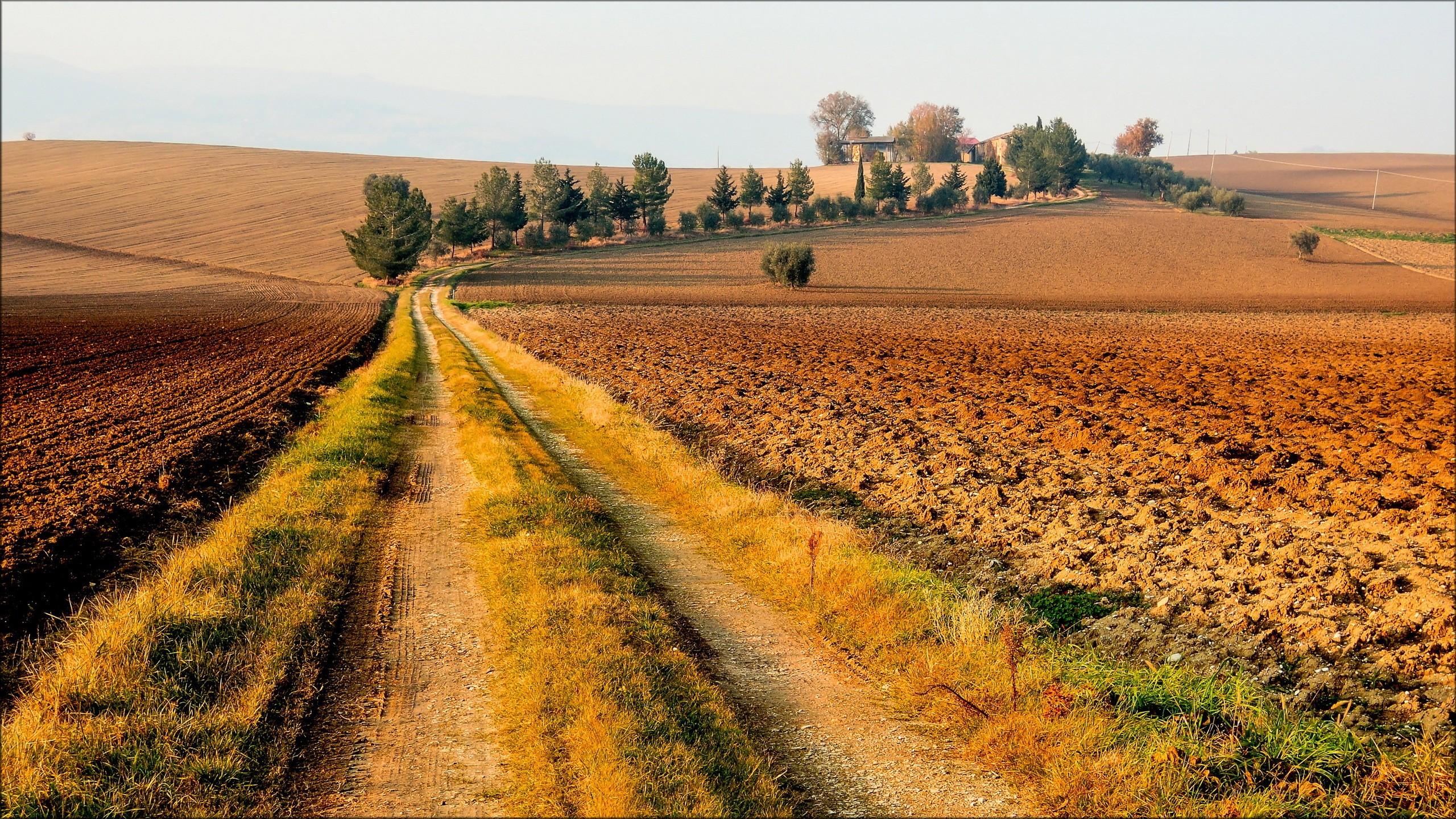 2560x1440 #trees, #Tuscany, #nature, #field, #dirt road, #landscape, #road, wallpaper HD Wallpaper
