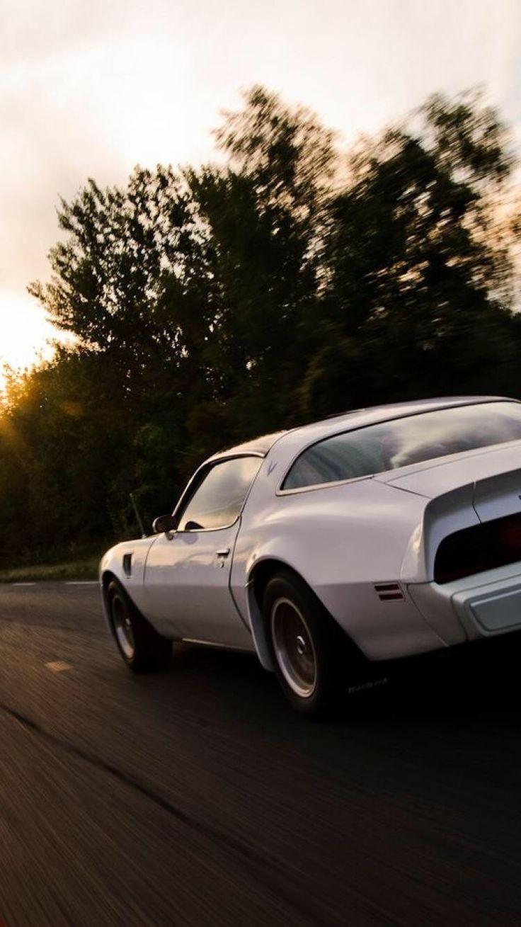 736x1309 Pontiac firebird wallpaper car. Pontiac firebird, Pontiac, Firebird