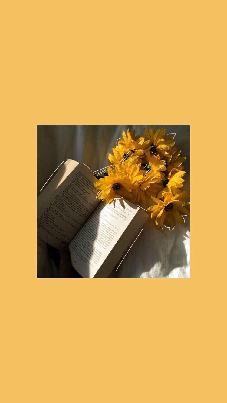 Yellow Flowers Books Wallpapers Top Free Yellow Flowers Books