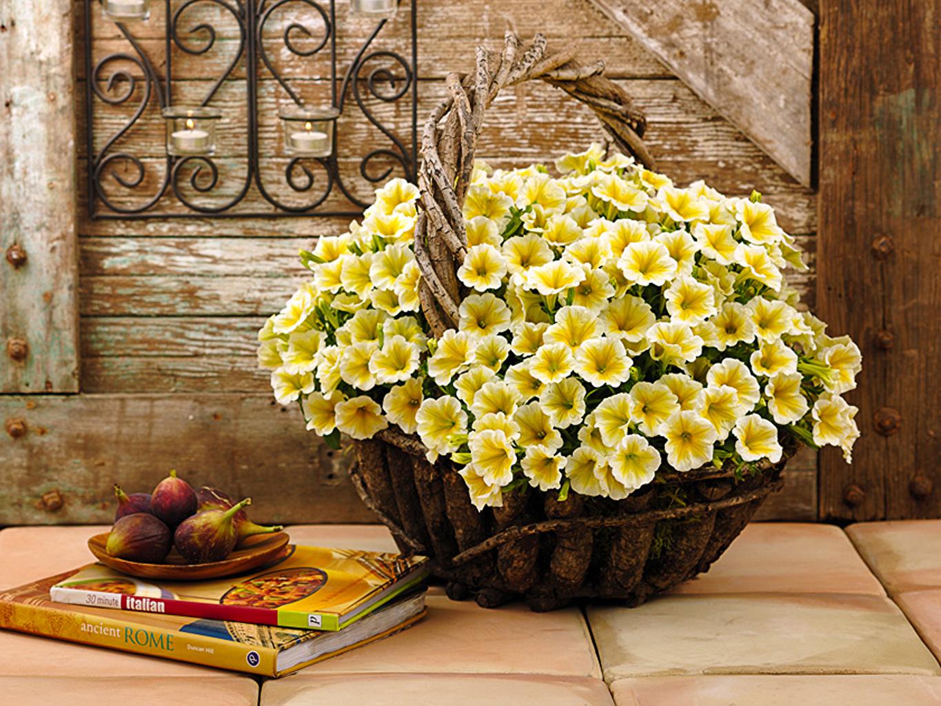 Yellow Flowers Books Wallpapers Top Free Yellow Flowers Books