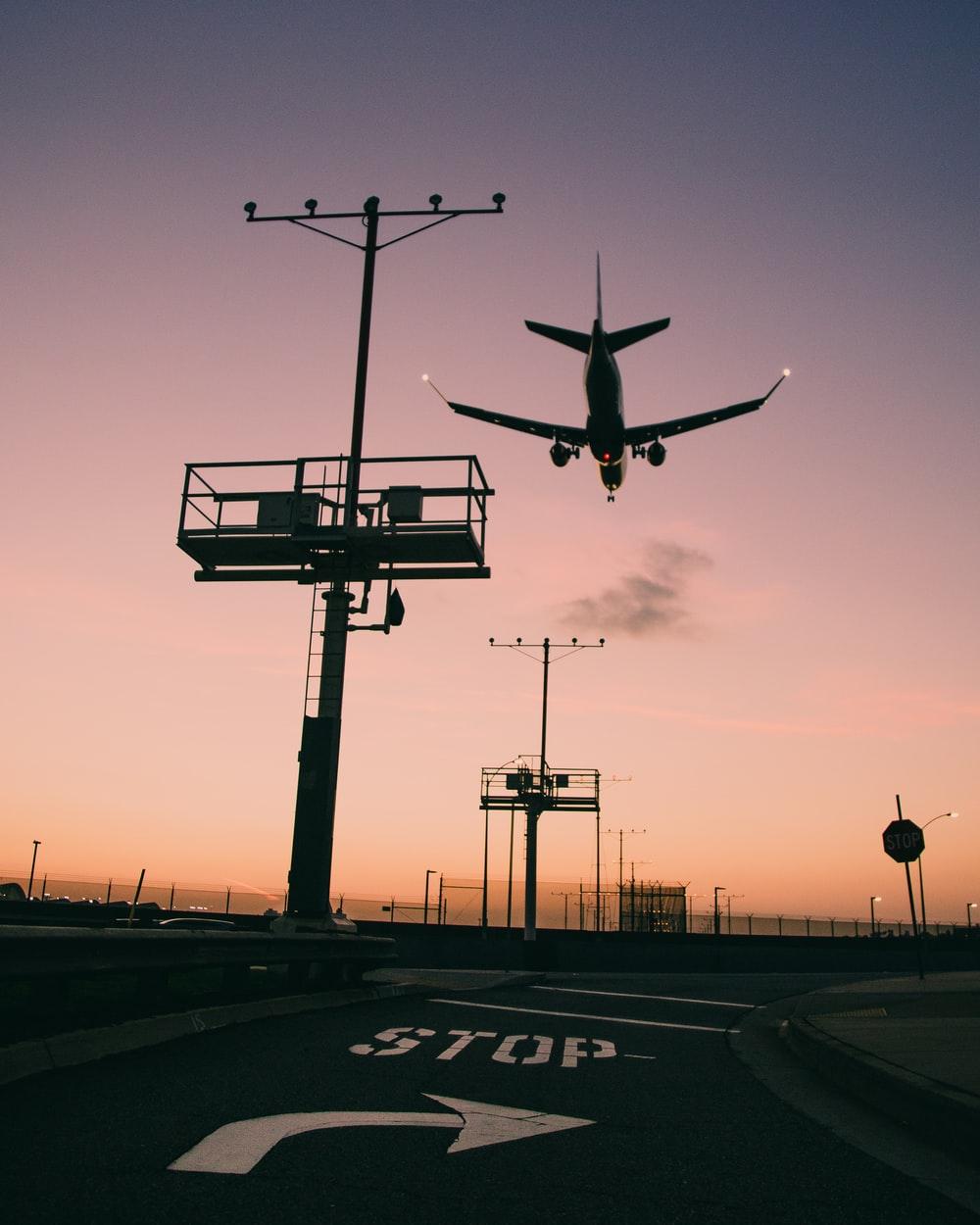 1000x1250 Lax Picture. Download Free Image