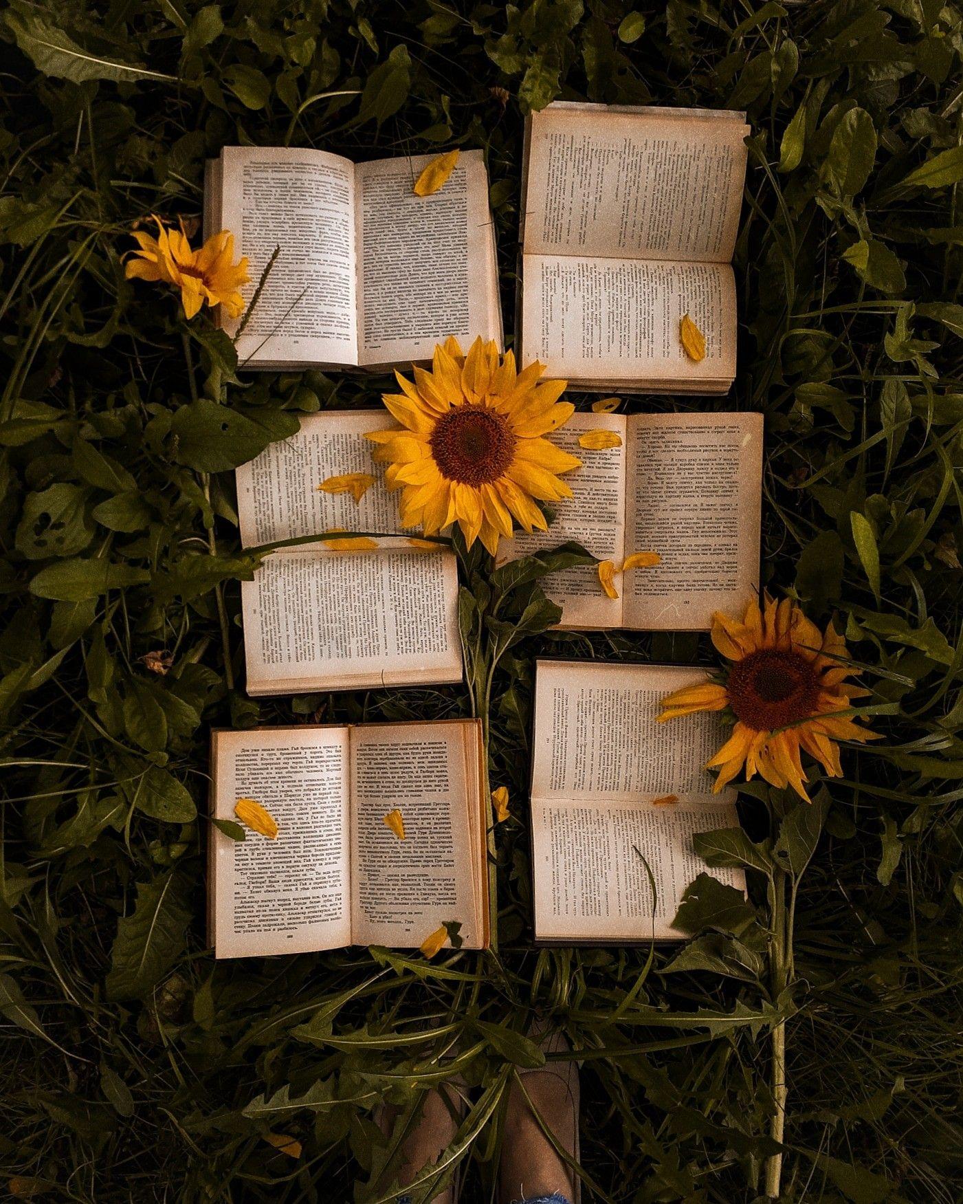 Yellow Flowers Books Wallpapers Top Free Yellow Flowers Books