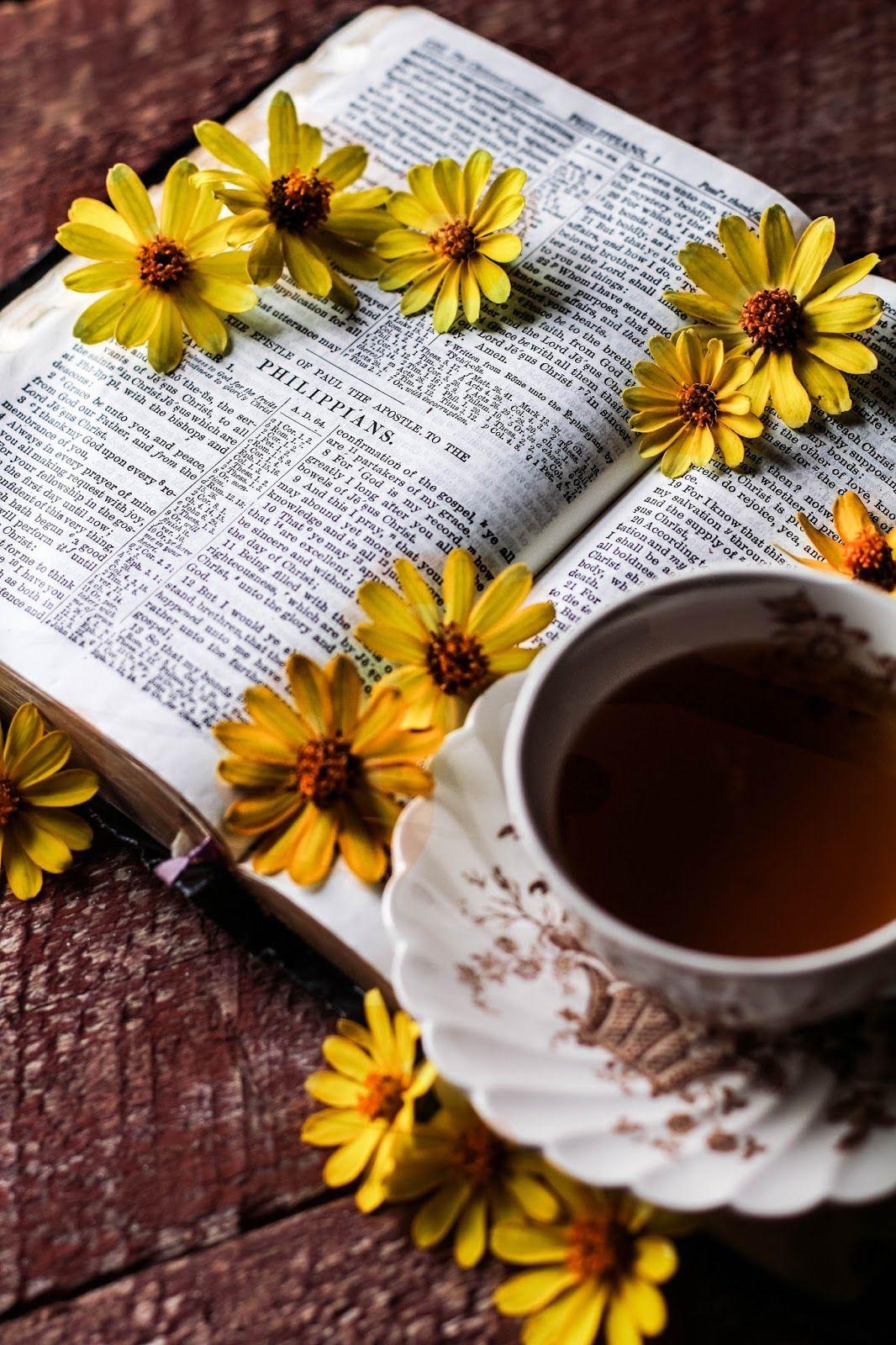 1066x1600 Citizen of Heaven. Book flowers, Book photography, Beautiful flowers wallpaper